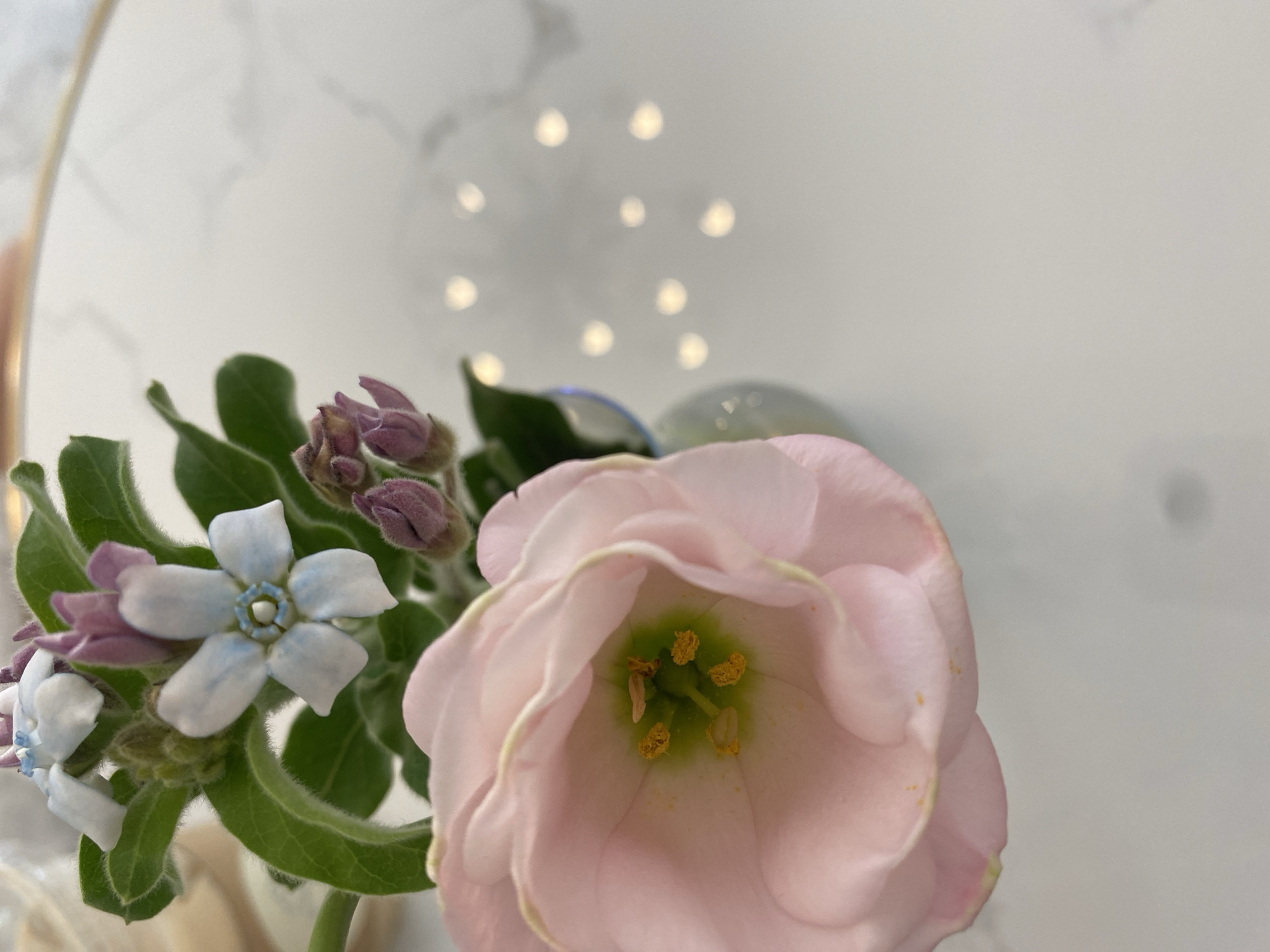 A close-up, top-down shot focuses on a delicate arrangement of flowers. A large, soft pink rose with ruffled petals dominates the foreground, its center revealing a vibrant green pistil surrounded by yellow stamen. Above and to the left of the rose, smaller clusters of pale blue and white star-shaped flowers bloom amongst fuzzy green leaves. Several unopened buds, a deep purple hue, are also visible. The flowers are in a small, blue vase, partially obscured at the bottom right. The background is a smooth, white surface with a marble-like pattern, and a series of soft, out-of-focus light circles are scattered across it.