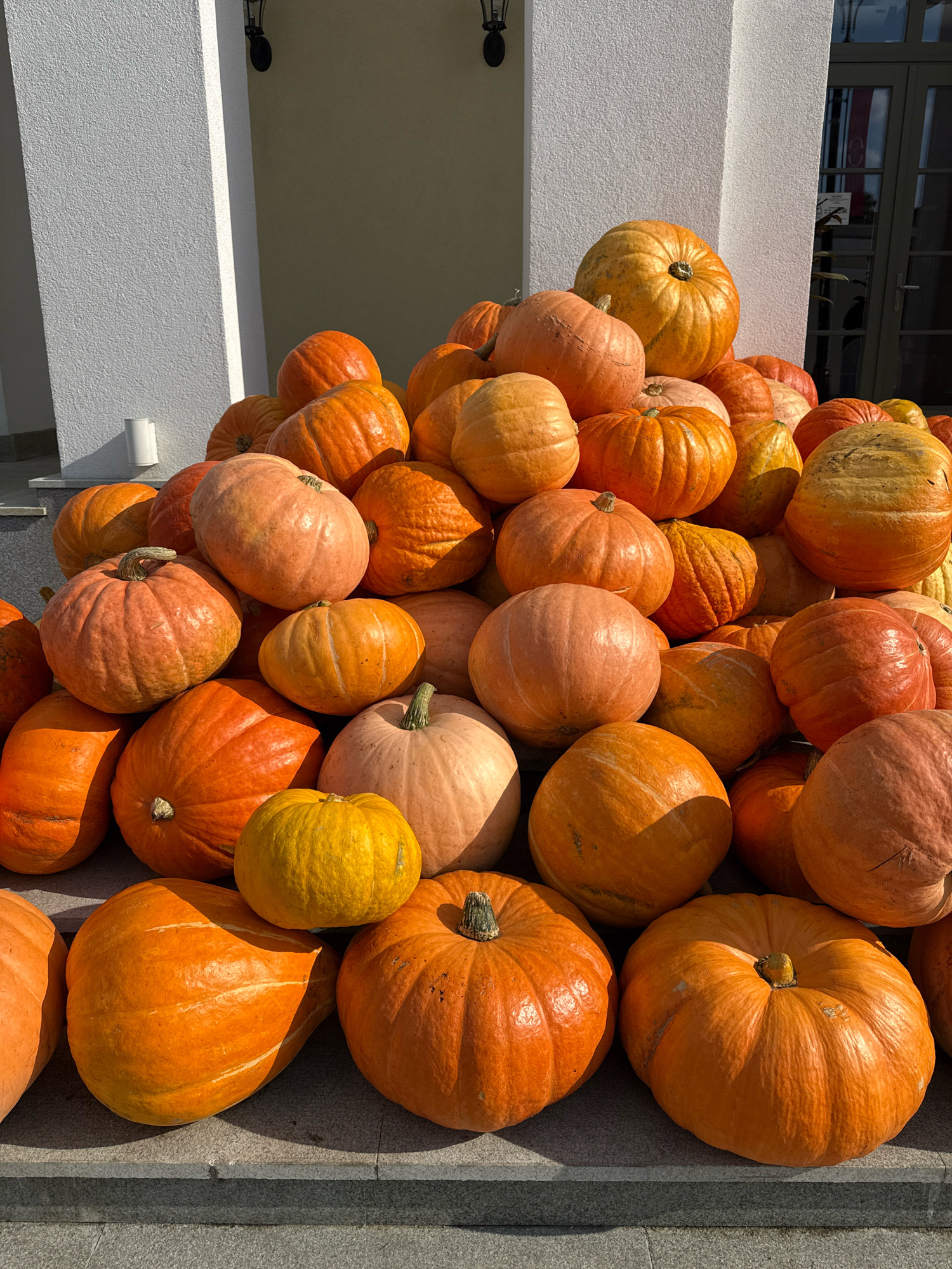 A large, overflowing pile of pumpkins of various sizes, shapes, and shades of orange and pale yellow is displayed outdoors. The pumpkins are arranged on tiered stone steps and the ground in front of a building with a white textured wall on the left and a darker wall and glass doors on the right. The sunlight casts shadows, indicating it is daytime. There are no people visible in the image. The scene appears to be a harvest or autumnal display. The location is identified as Ryazan, Russia.