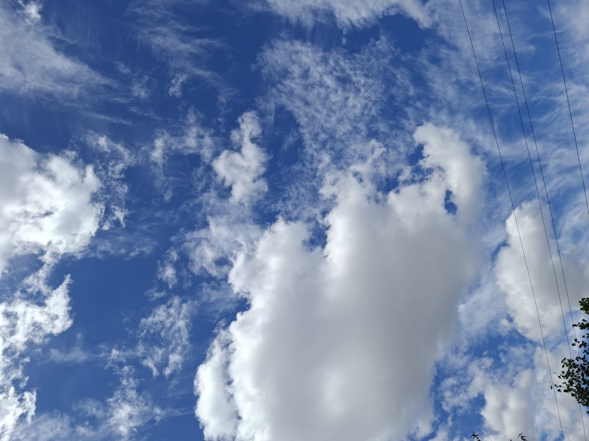 A vertical, medium shot captures a vibrant blue sky filled with a variety of clouds. In the lower left quadrant, a large, billowy white cumulus cloud dominates the foreground, casting a subtle shadow. To the right and higher up, wispy cirrus clouds streak across the sky, creating a delicate, feathery texture. Several thin, dark power lines stretch horizontally across the lower right portion of the image. The bottom edge of the frame reveals a hint of dark green foliage, suggesting the presence of trees. The scene is devoid of people and specific landmarks, offering a generalized view of the sky.