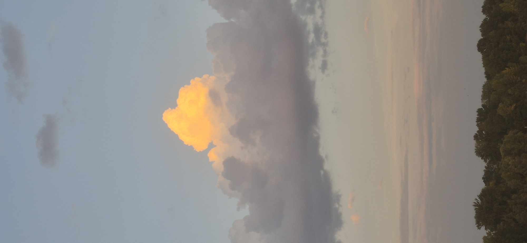 A vertical shot captures a cluster of clouds against a pale blue sky. A large, puffy cloud in the center of the frame is illuminated with a bright orange hue, suggesting it is catching the light of a sunset or sunrise. Surrounding this dominant cloud are other, larger clouds that are a muted greyish-pink. Further down, a band of soft, horizontal pinkish clouds stretches across the sky. The bottom of the image is framed by a dark, dense line of trees, forming a silhouetted horizon. The overall impression is a serene sky scene, with the trees providing a grounding element to the expansive sky. There are no people or man-made structures visible in this image. The scene evokes a sense of natural beauty and tranquility. This image does not contain any identifiable landmarks or elements that would suggest a specific location within the city of Mainz, Germany.