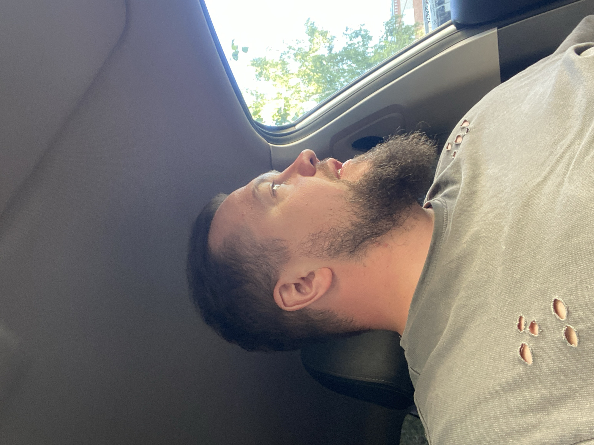 The image captures an adult male in a right-facing profile, seated within a vehicle in Sobinka, Russia. He is illuminated by bright natural light entering from the right side. The man has short, dark hair with a visible receding hairline and a full, dark brown beard. His mouth is slightly ajar, as if speaking or reacting. He is wearing a solid grey, short-sleeved crew-neck t-shirt featuring several irregularly shaped, distressed holes across the upper left chest and shoulder area. A dark grey seat headrest is visible behind his head, and the car's interior ceiling is a uniform dark grey fabric. Through the vehicle's right-side window, a bright outdoor scene under clear, sunlit conditions is visible. Lush green tree foliage dominates the immediate external view, suggesting a natural element within an urban or suburban setting. In the background, beyond the trees, elements of a building and an indistinct sign with faint lettering can be discerned, partially obscured by glare and foliage. No other individuals or interactions are visible.