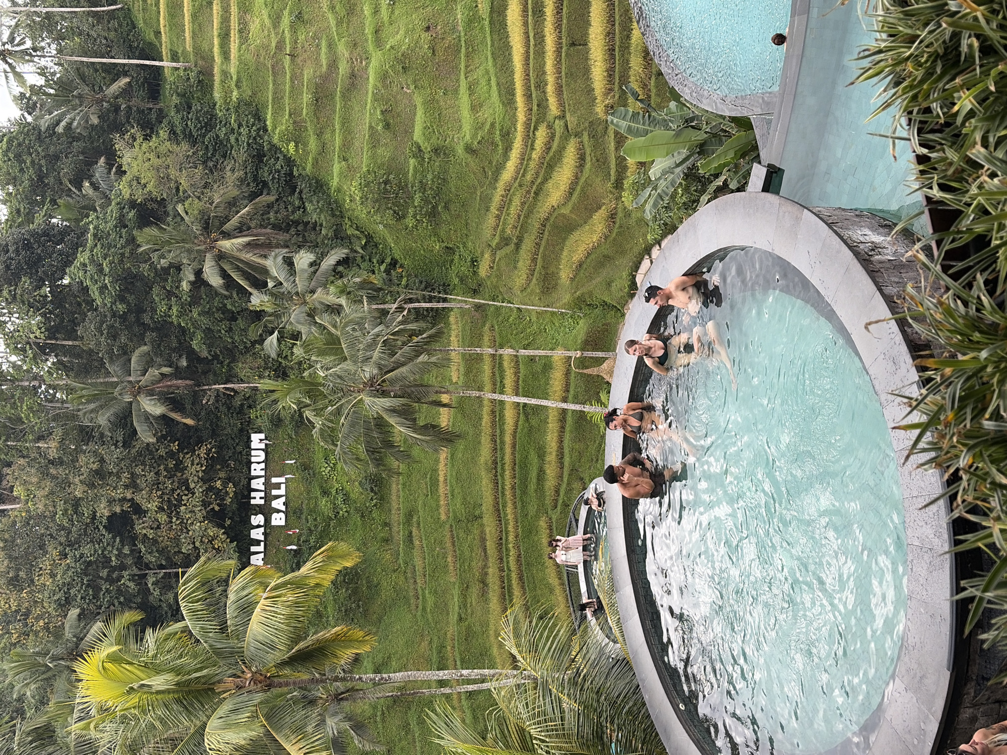 In Tegallalang, Indonesia, a high-angle shot captures a serene scene at the Alas Harum Bali resort. In the foreground, a circular infinity pool with clear turquoise water is occupied by several individuals. A man with a beard and tattoos is visible, as are a woman in a black bikini and another woman in a green bikini. They appear to be relaxed and enjoying the water. In the background, lush green rice terraces cascade down a hillside, creating a picturesque and vibrant landscape. Palm trees with tall, slender trunks and feathery fronds are scattered throughout the scene, adding to the tropical ambiance. A white sign with the words "ALAS HARUM BALI" is prominently displayed against the dense greenery of the hillside. The overall impression is one of natural beauty and tranquil relaxation.