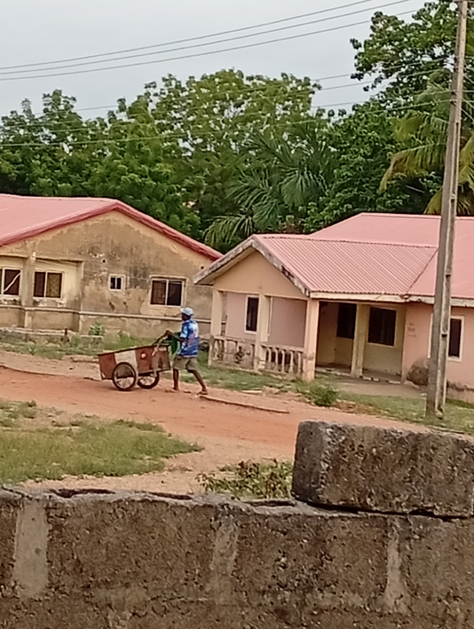 The scene is set in Adankolo, Nigeria. A man wearing a blue shirt, shorts, and a hat is pulling a two-wheeled cart along a dirt road. The background shows two single-story buildings with pink roofs. The building on the left is in disrepair. Lush green trees are visible behind the buildings. In the foreground, a weathered concrete block wall stands partially in view. A power pole is on the right side of the image. The sky is overcast.