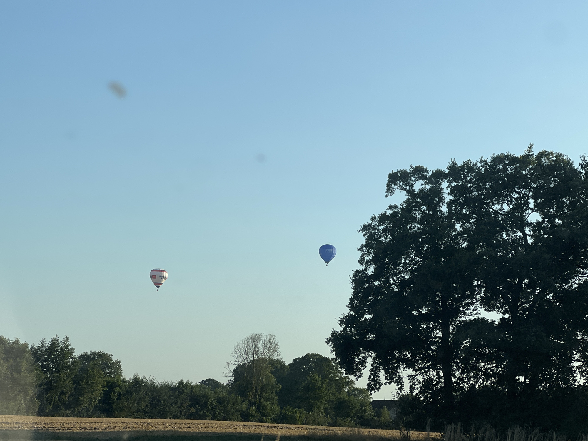 An outdoor, landscape, daytime shot captures two hot air balloons against a clear, pale blue sky. The balloon on the left is white with red stripes and logos. The balloon on the right is solid blue. The background features a dark green tree line with varied tree heights, and a field of dry, light brown vegetation in the foreground. The sun is not visible, but the scene is brightly lit. There are two faint dark circular spots in the upper left quadrant of the sky, possibly dust on the lens or a glitch in the image.