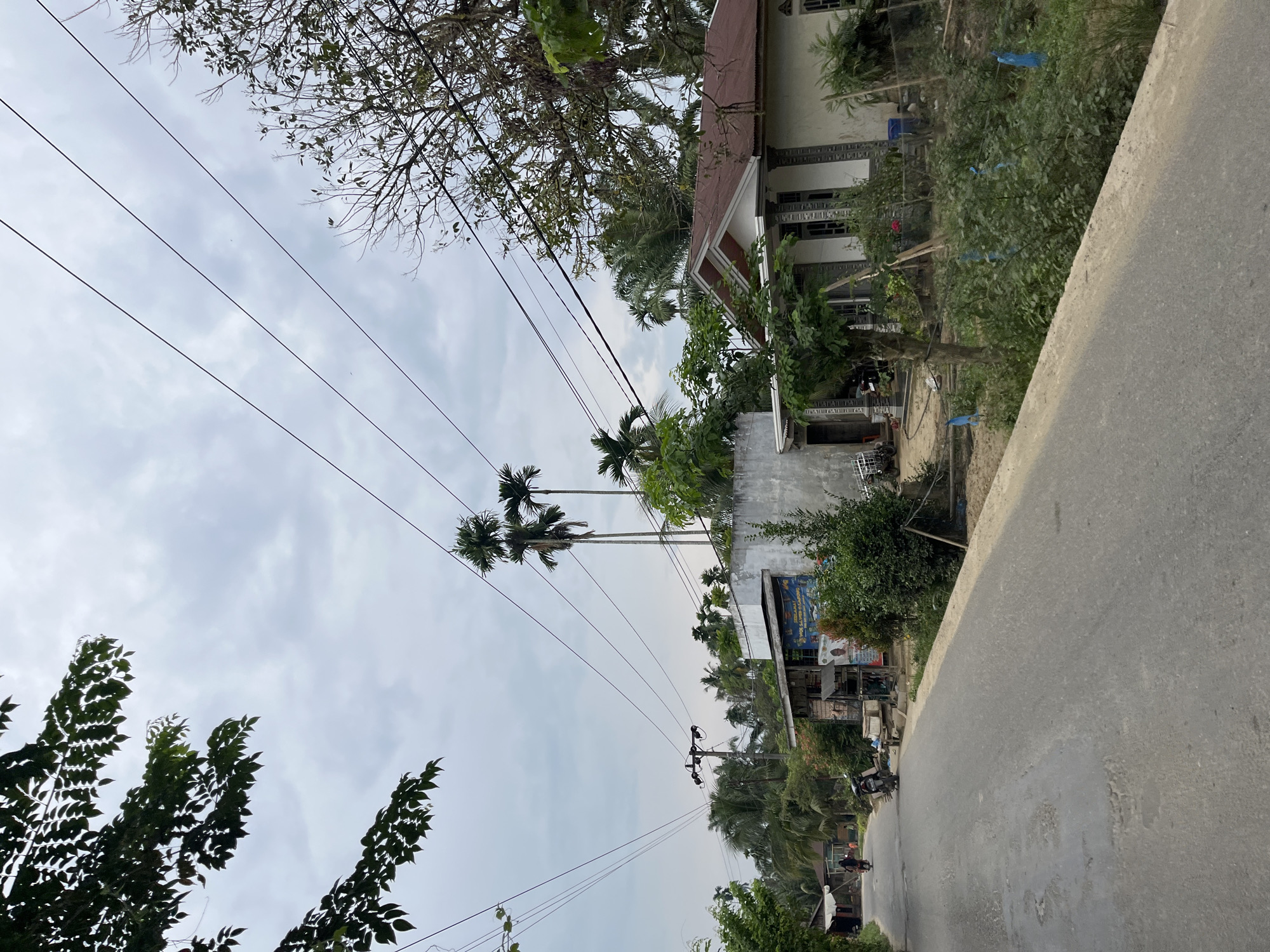 This image captures a scene on a rural road in Tanahterban, Indonesia, under an overcast sky, suggesting it's likely daytime. The perspective is from the side of the road, looking along its length and up towards the sky.
The foreground is dominated by the gray asphalt road, which curves to the right and takes up a significant portion of the lower right quadrant of the image. To the left of the road, several houses and structures are visible, interspersed with lush green foliage and tall palm trees. Power lines crisscross the sky, supported by utility poles. One pole with multiple wires is clearly visible in the middle ground.
In the middle distance, there are several buildings. One house on the left has a white exterior with decorative elements and a brown-tiled roof. Further along the road, there are smaller structures that appear to be shops or market stalls, one of which has a blue sign with visible text. A few people can be seen in the distance, including two individuals riding motorcycles on the road, indicating ongoing activity. There are also carts and other objects suggesting local commerce or daily life.
The vegetation is dense and tropical, with various trees and plants contributing to the scene's natural character. Blue plastic bags are tied to some branches in the vegetation. The overall impression is a humble, rural Indonesian setting with a mix of residential buildings, small businesses, and natural elements under a cloudy sky. The time of day is not precisely discernible, but the ambient light suggests it is not early morning or late evening.