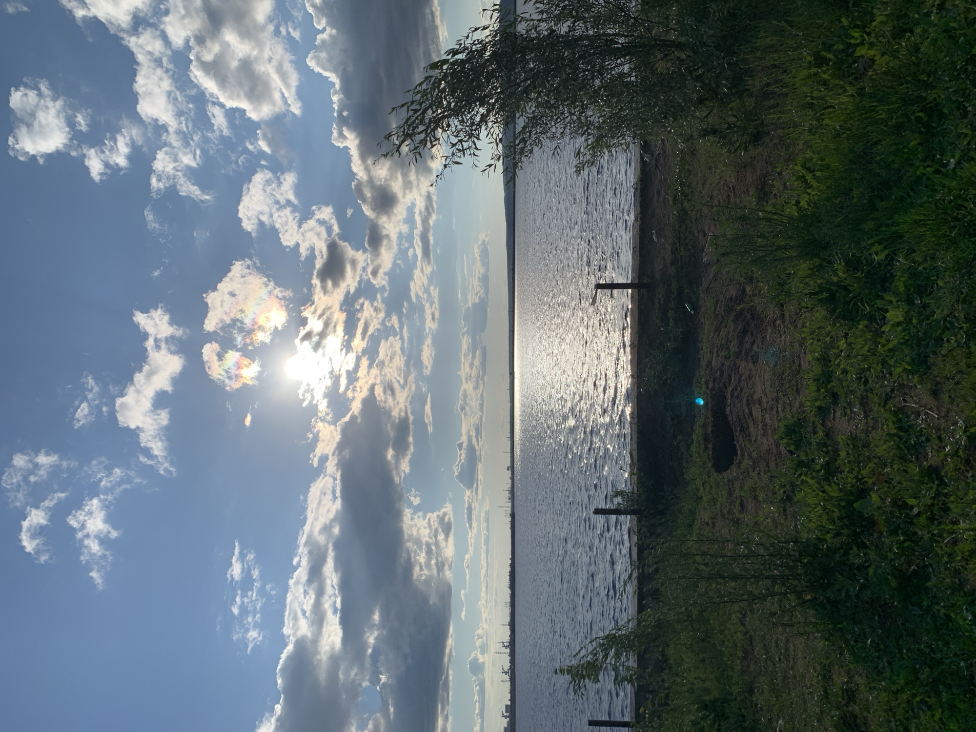 The image shows a wide expanse of calm water, likely a reservoir or river, under a partly cloudy sky. The sun is partially obscured by clouds, creating a bright reflection on the water's surface. In the distance, a hazy industrial skyline with several structures and cranes is visible along the horizon. The foreground consists of grassy terrain with some sparse vegetation and a few wooden posts that appear to be part of a fence. On the right side of the foreground, a bushy tree with thin branches leans into the frame. The overall impression is of a somewhat industrial waterfront setting on a clear day. The location is the Kama River embankment in Chaikovsky, Russia, where the Kama River widens into the Votkinskoye Reservoir, a characteristic feature of the city's landscape.