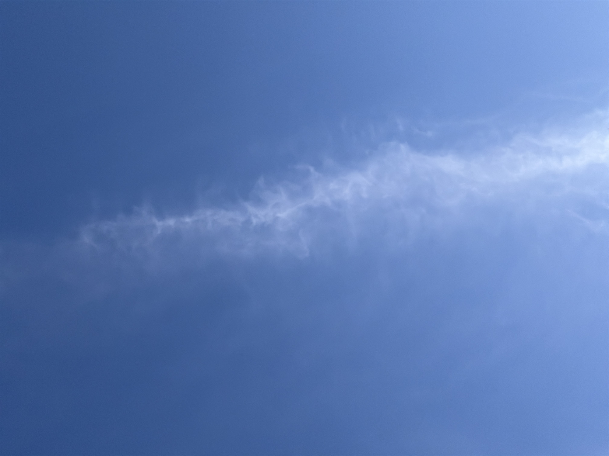The media file displays a serene daytime sky characterized by a deep, consistent blue hue. A single, prominent white cloud formation stretches diagonally across the frame, originating from the mid-left and extending towards the mid-right. This cloud is remarkably wispy, delicate, and elongated, possessing an irregular, filamentary texture that appears somewhat translucent against the vibrant blue backdrop. No distinct shapes or patterns are clearly discernible within the cloud, which suggests high-altitude cirrus-type clouds. The rest of the sky is clear, indicating fair weather conditions. There are no visible people, objects (other than the cloud), or activities taking place. The image offers a vast and open view of the sky, conveying a sense of calm and expanse. No textual elements are present. The specific time of day and location are unknown, though the bright blue suggests it is daytime.