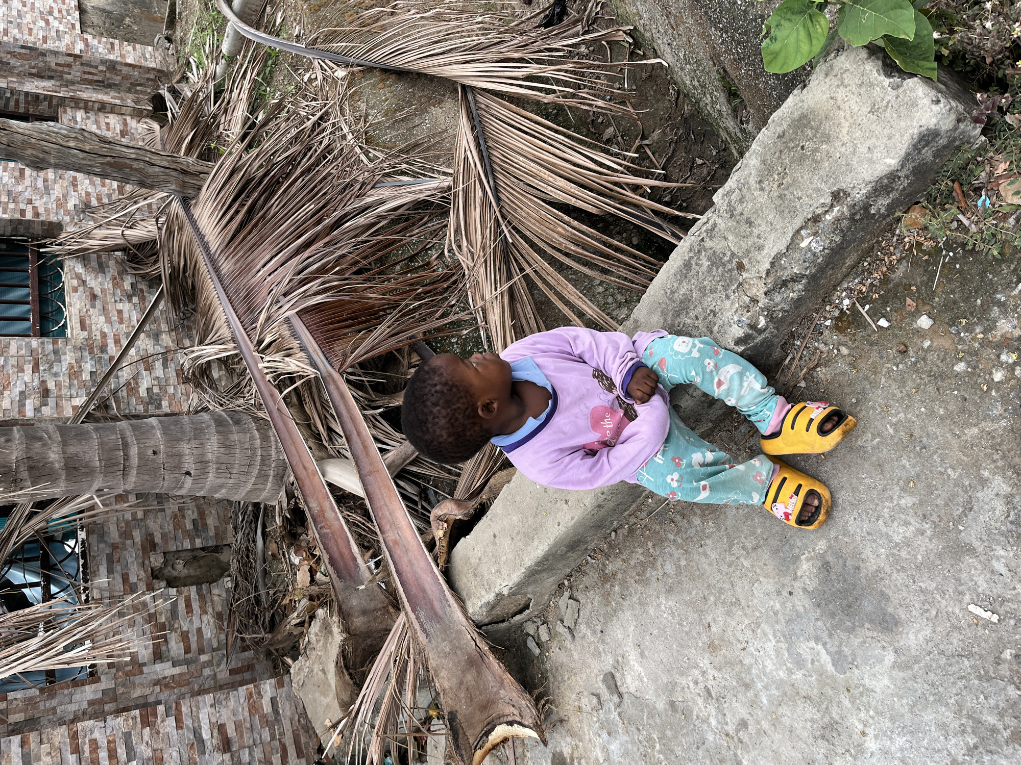 A young child wearing a purple long-sleeved shirt, patterned light blue pants, and yellow sandals sits on a concrete structure. Dried palm fronds and sections of palm trunks are scattered nearby. In the background, part of a building with a tiled exterior and a window with bars is visible. The ground is a mix of concrete and dirt. The location cannot be confirmed without additional context.