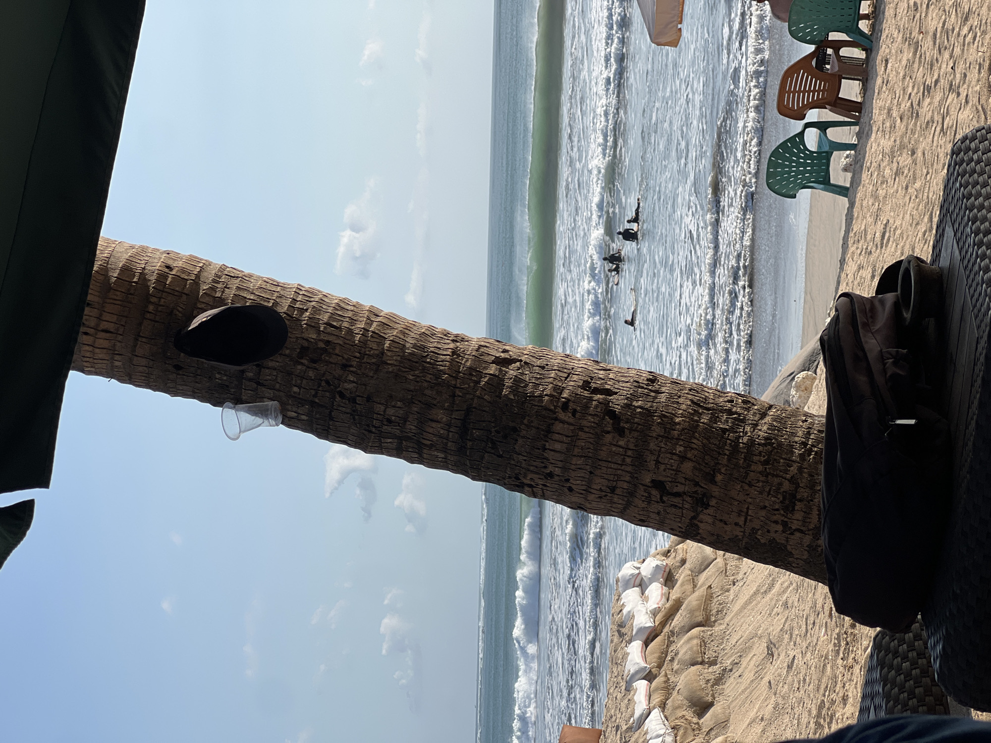 An eye-level, medium shot captures a tropical beach scene in Kuta, Indonesia, with a prominent, textured palm tree trunk dominating the left foreground. A dark-colored bag rests on a woven table in the immediate foreground. Behind the table, a stack of sandbags is visible on the beach, leading towards the ocean. Several surfers are in the water, spread out and some appear to be waiting for waves. The ocean exhibits a clear turquoise hue with white-capped waves rolling in. In the mid-ground, on the sandy shore, are three colorful plastic chairs—one green, one brown, and another green. A large, dark umbrella stretches across the top of the frame, casting a shadow. The sky is a bright, clear blue with a few scattered white clouds. A single clear plastic cup is perched on the side of the palm tree. The lighting suggests it is daytime, possibly late afternoon, given the quality of light and the shadows.