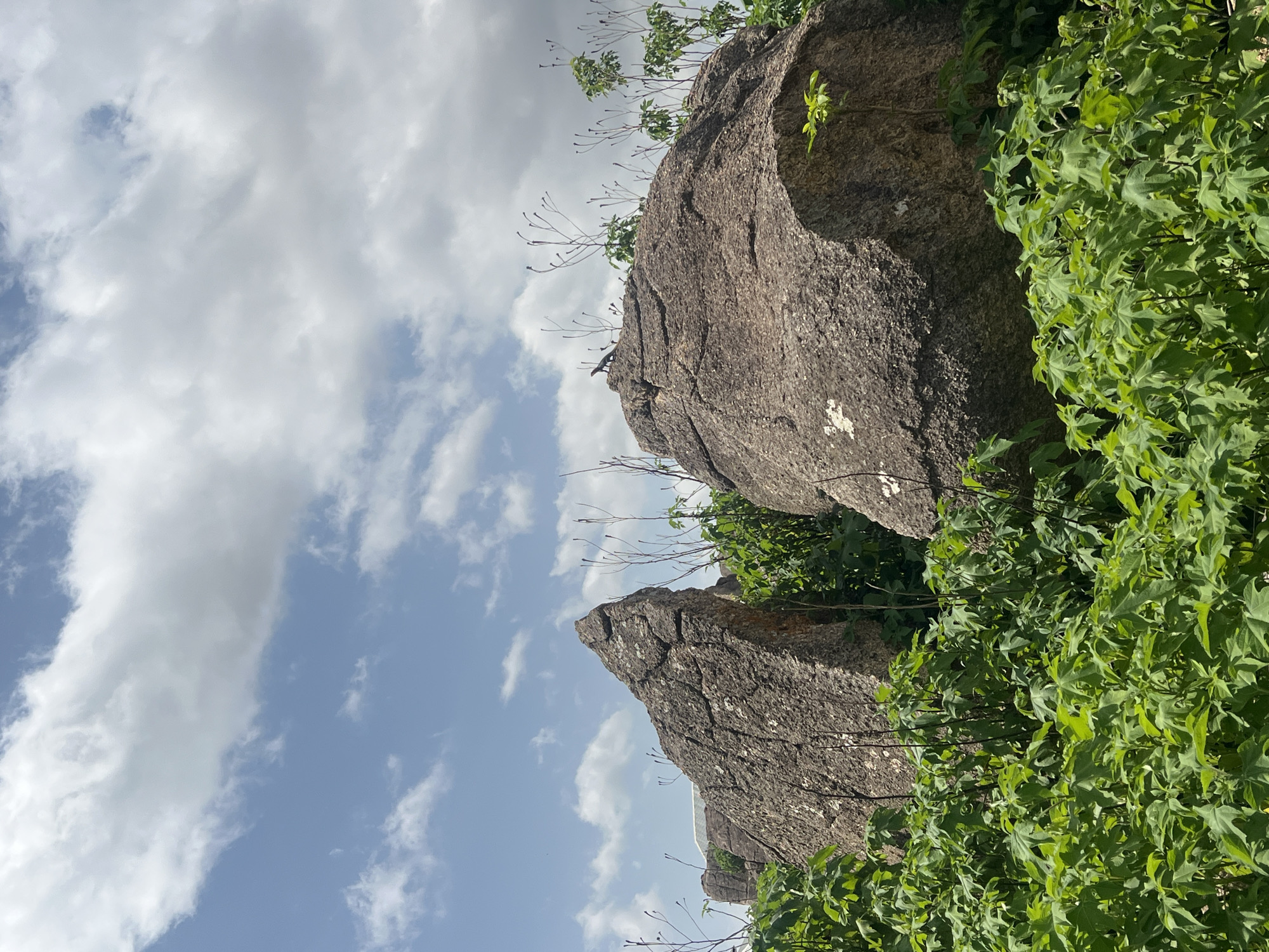 The image depicts a rocky outcrop in Jos, Nigeria, under a cloudy sky. The foreground is dominated by lush green vegetation, with large, weathered rocks framing the scene. Two prominent rocks are visible, one larger and to the right, the other smaller and to the left. Thin, dry branches sprout from various points on the rocks, contrasting with the vibrant green leaves. In the distance, more rocky formations can be seen. The sky is filled with dramatic, fluffy white clouds against a pale blue backdrop, suggesting it might be mid-day with some cloud cover. No people or text are visible in the image. The overall impression is one of a natural, rugged landscape.