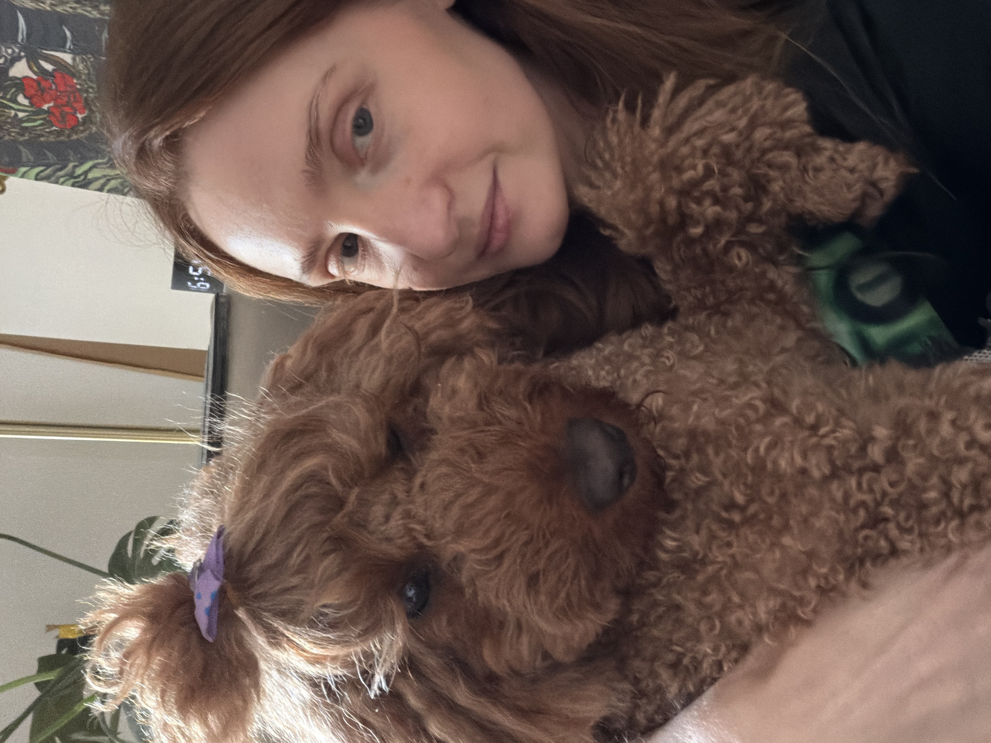 A woman is pictured in a close-up selfie with a brown curly-haired dog. The woman, fair-skinned with reddish-brown hair, rests her head against the dog's back. The dog is mostly visible, with its large black nose and one eye. The dog has a purple clip in its fur. The background is comprised of a wall with flowered wallpaper, a window, and a plant. There is no indication of the location being Boreti, Montenegro.