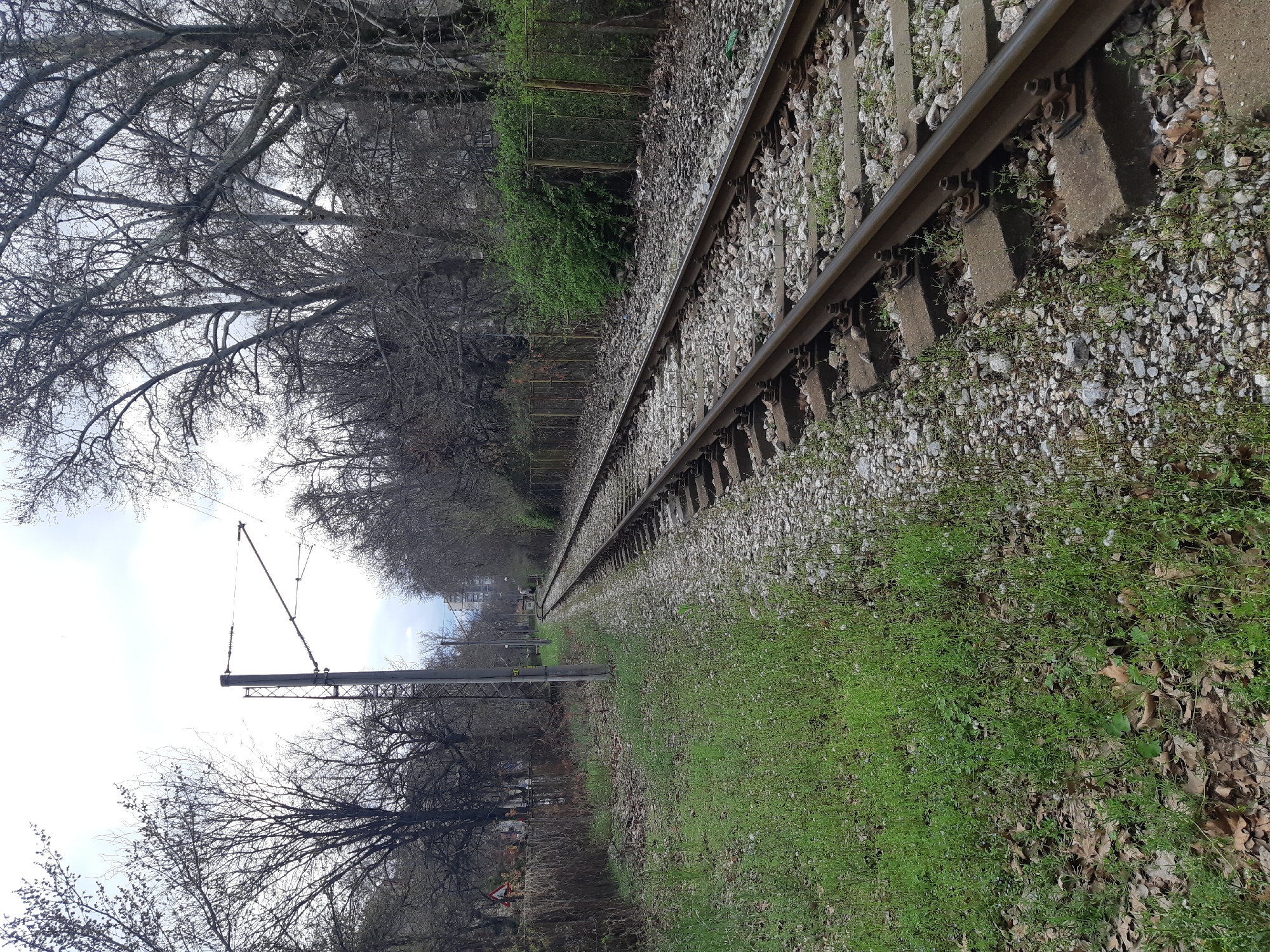 The image depicts a view along a set of railway tracks in Plovdiv, Bulgaria. The tracks are lined with gravel ballast and concrete sleepers, with vegetation growing on either side. Overhanging the tracks are bare trees. Overhead power lines are visible suspended above the tracks supported by metal poles. The photo is taken from a low angle, with the tracks receding into the distance.