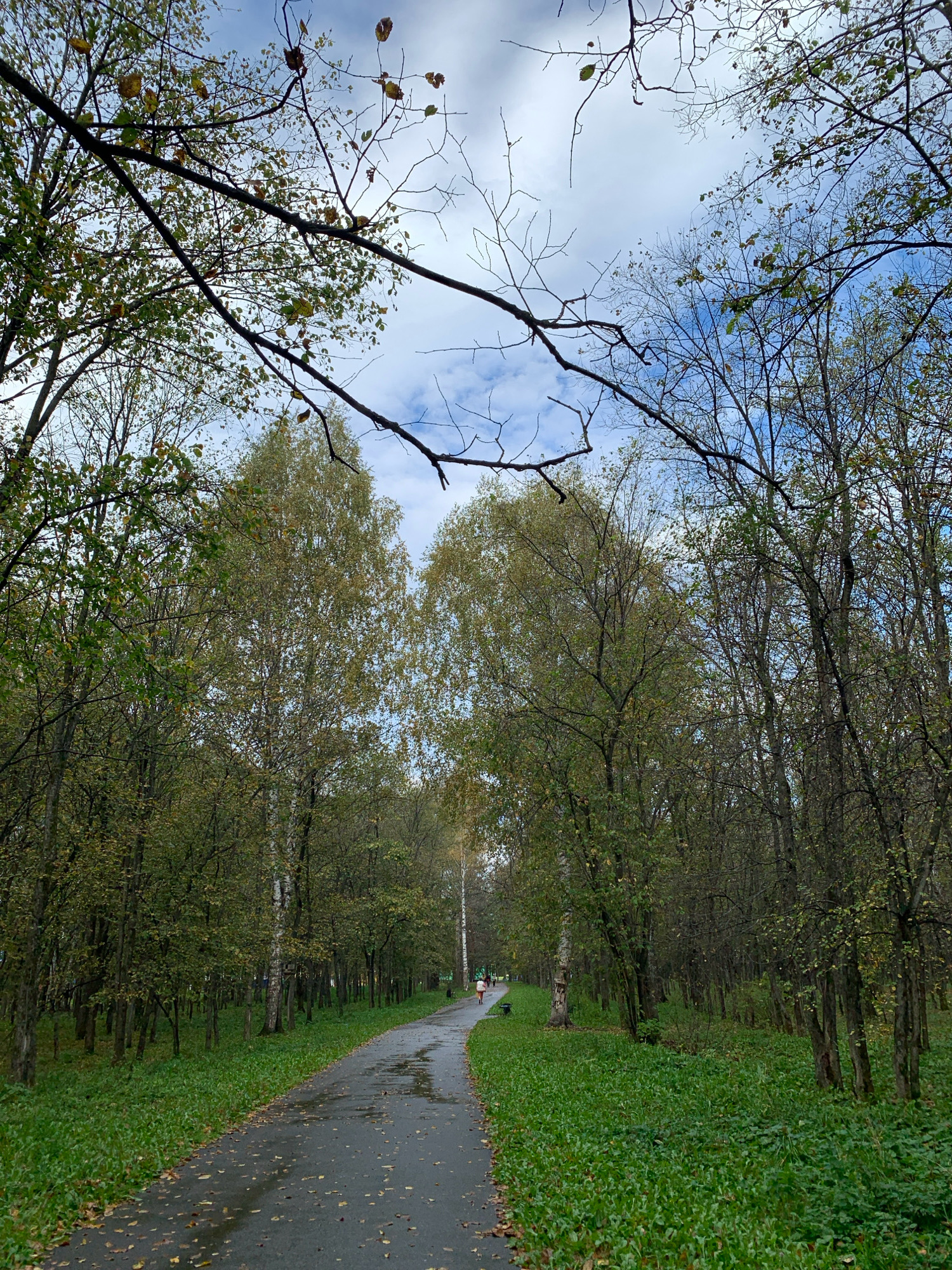 The image depicts a paved park path winding through a forest. The path is wet, suggesting recent rain, and scattered autumn leaves are visible on its surface. Dense trees with green and yellowing foliage line both sides of the path, with some bare branches reaching towards a cloudy blue sky. In the distance, a person on a bicycle is visible, and to the left of the path, lush green grass covers the ground. The scene is consistent with a park or wooded area within the city of Prokopyevsk, Russia, during the autumn season.