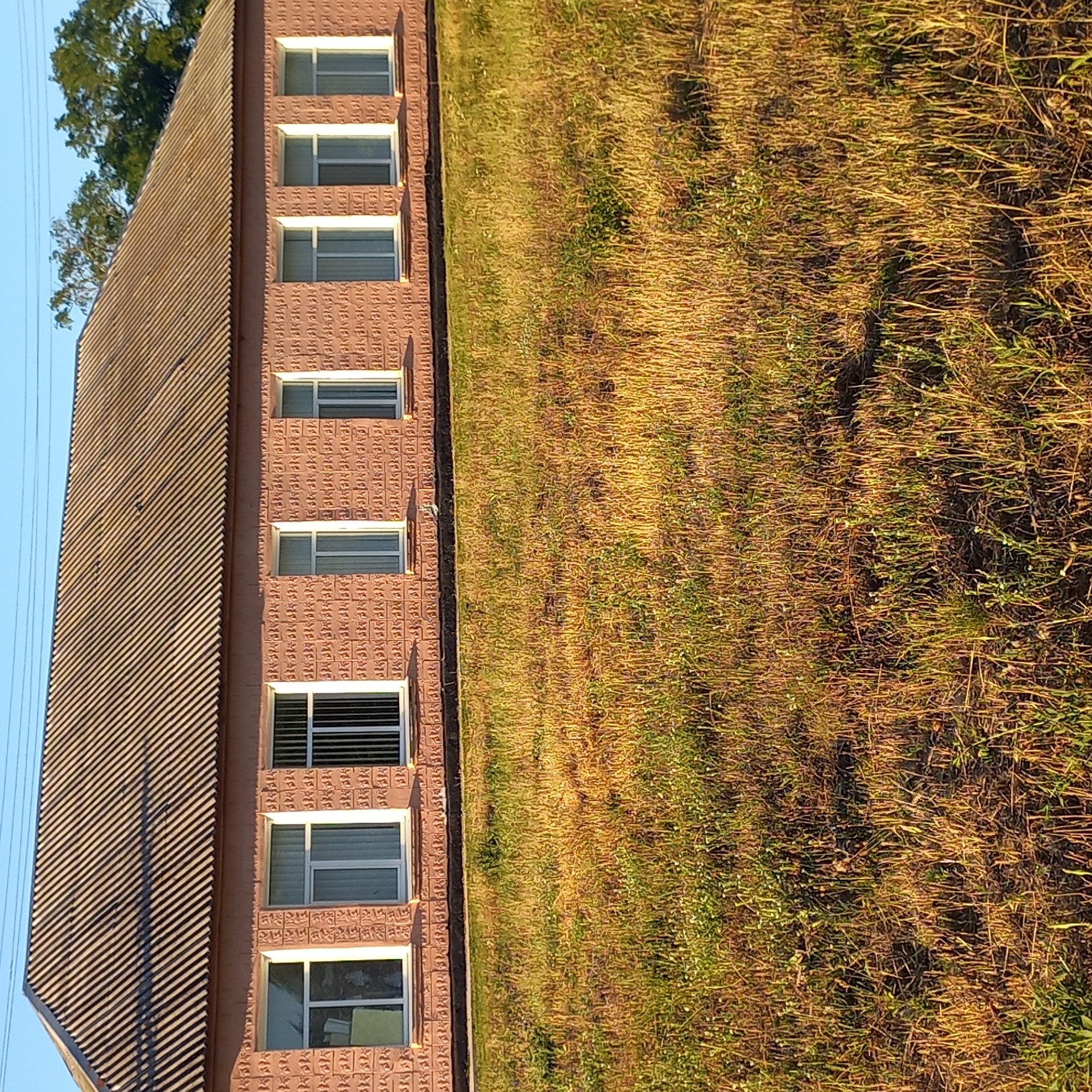 The image shows a single-story building with a pink brick facade and a corrugated roof. The building has a row of seven windows. The foreground consists of a field of dry, yellowish-brown grass with some patches of green. The sky above is a clear blue. The building appears to be a rural or semi-rural structure. The scene is located in the city of Klyntsi, Ukraine.