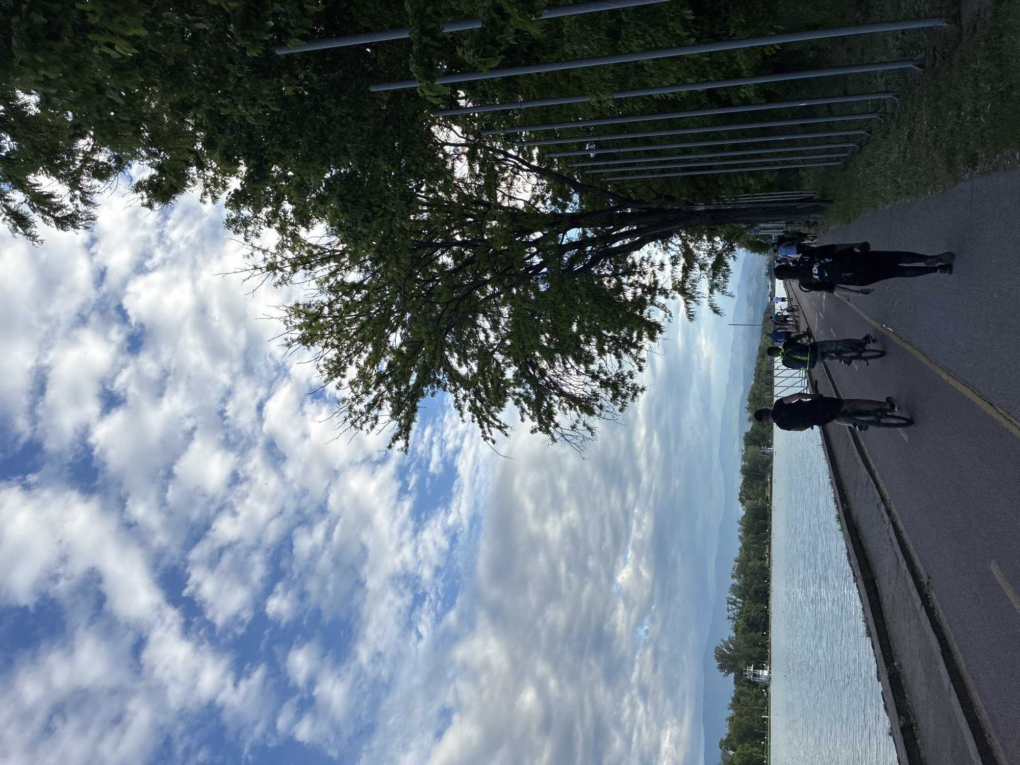 A paved path runs along a body of water. People are walking and cycling on the path. There are trees and a metal fence along the path. The sky is cloudy. The location is Plovdiv, Bulgaria.