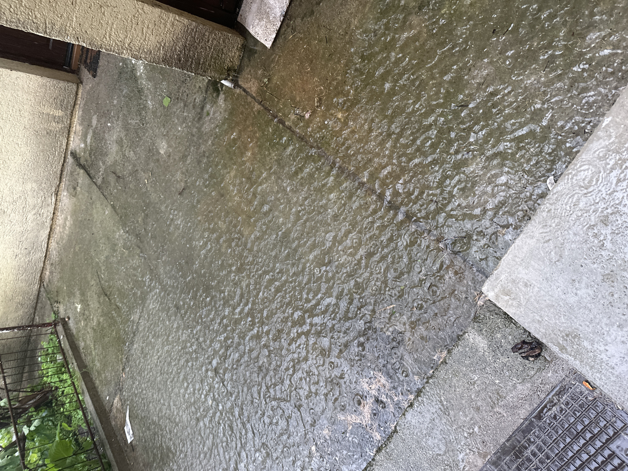 The image depicts a waterlogged concrete surface, likely an exterior patio or walkway, during rainfall. The location is City of Zagreb, Croatia. The surface is composed of rectangular concrete slabs with water pooling extensively. Raindrops are visible on the water's surface, creating concentric ripples. Some debris, including leaves and twigs, is scattered across the wet surface. A metal grate is visible in the lower right corner. To the left, there is a metal fence and some green vegetation. Overhead, there's a concrete overhang. The image conveys a sense of wetness and a gloomy atmosphere. No people are visible in the image.
