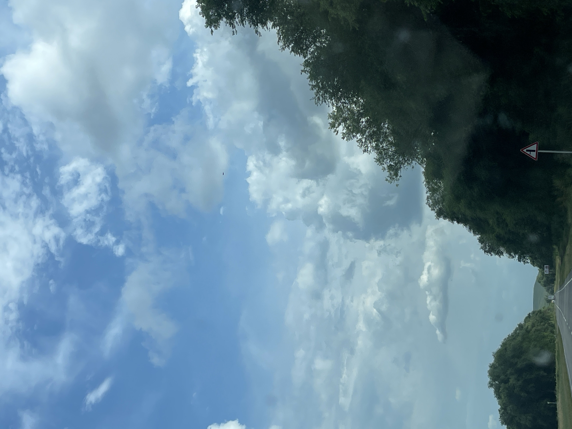 The image captures a scenic view from a road in Donskoe, Russia. The scene is dominated by a vast sky filled with dramatic, billowy clouds against a backdrop of clear blue. On the right side of the frame, lush green trees line the road, creating a verdant canopy that slopes downwards. A triangular road sign with a red border is visible amidst the trees, indicating a hazard or directional information, though the specific symbol is indistinct.
The perspective suggests the photograph was taken from a moving vehicle, possibly a car, looking upwards and slightly to the side. The road itself is visible in the lower right portion of the image, stretching into the distance and flanked by grassy verges and more trees. The time of day appears to be daytime, with the sun illuminating the clouds and casting a bright light. The weather seems dynamic, with a mix of sun and cloud cover, creating a visually interesting sky. The overall impression is one of a peaceful, natural landscape encountered during a journey.