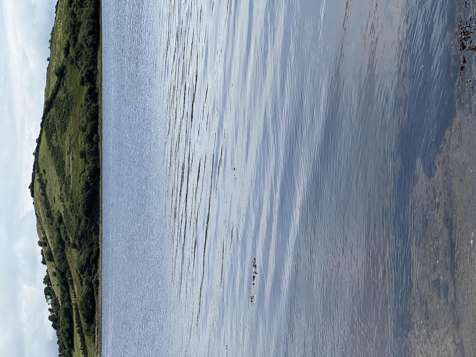 The image shows a body of water in the foreground with a green, rolling hillside in the background. The water has gentle ripples and is partially transparent, revealing the rocky bottom. The hillside is covered in lush green vegetation, with scattered trees and bushes. The sky above is partly cloudy. The scene appears to be a natural landscape, likely a bay or inlet. The specific location in the city of Dunuisce, Ireland, is not discernible from the image alone, but the general setting suggests a coastal or lakeside environment. There are no people or animals visible in the image.