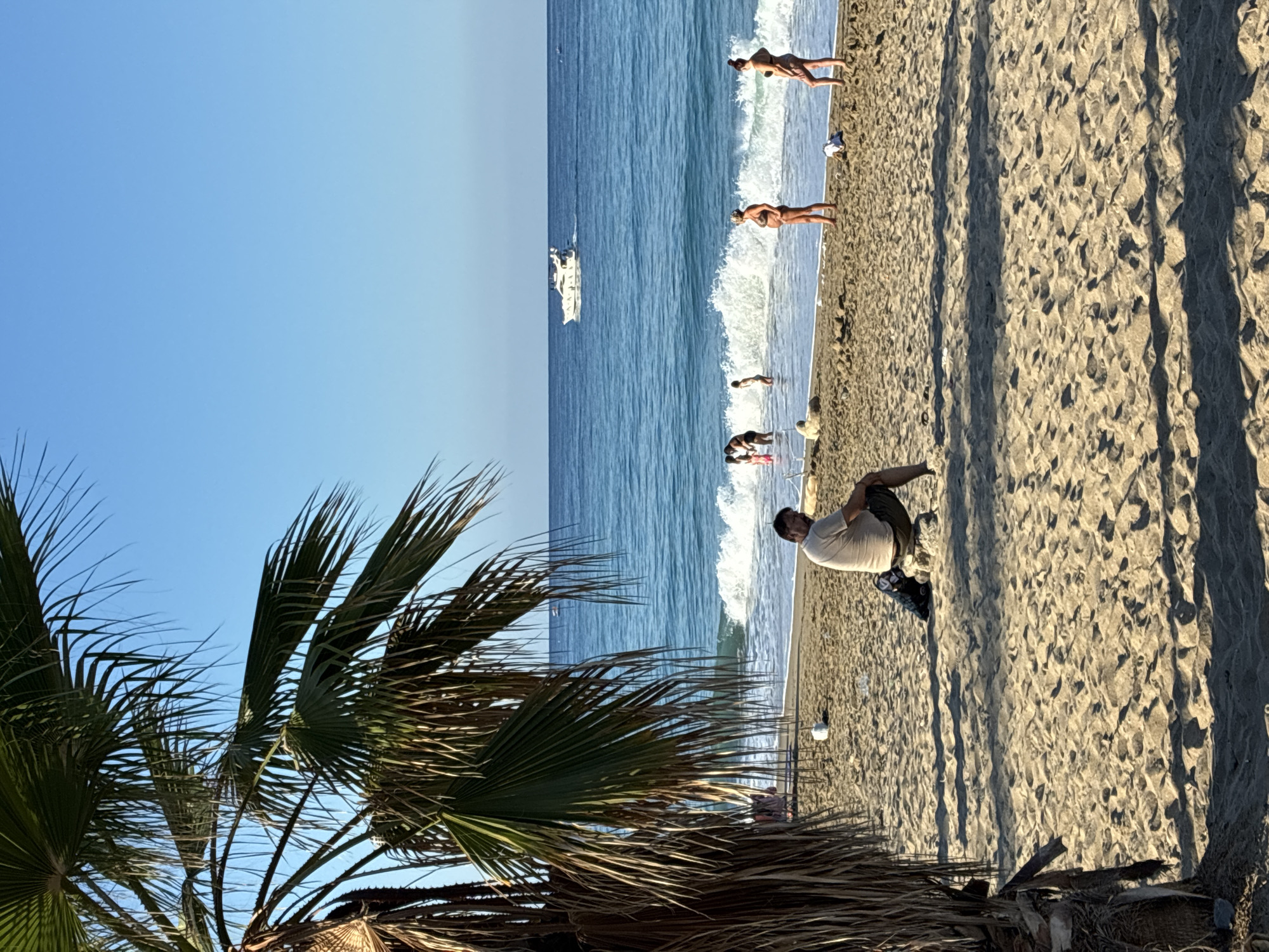 In Alanya, Turkey, a sun-drenched beach scene unfolds under a clear blue sky. In the foreground, a palm tree's fronds cast dappled shadows on the sand. A man is seated on a rock, facing away from the camera, his gaze directed towards the sea. Further down the beach, near the water's edge, several people are visible. A group of individuals, including children, are wading in the gentle waves. Two women stand closer to the shore, one appearing pregnant. In the distance, a white motorboat cruises on the turquoise water. The overall ambiance is one of relaxed leisure on a warm day.
