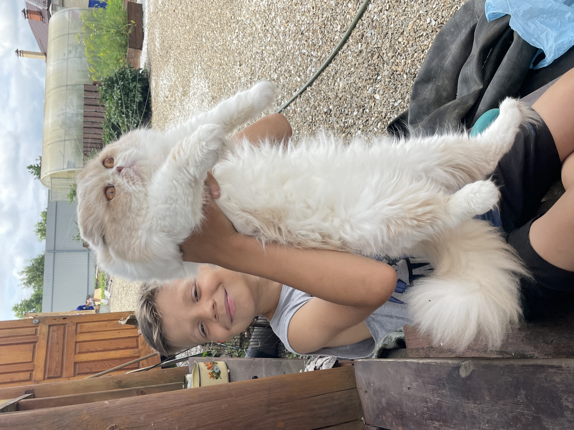 In the village of Maminskoe, Russia, a young boy with short, brown hair and a grey tank top smiles and holds a large, fluffy, cream-and-white cat. The cat, with prominent amber eyes and long fur, is held vertically. The boy is seated on a rustic wooden bench. Behind him, a wooden door stands open, revealing a glimpse of a person in the background. The ground is covered with gravel, and a greenhouse, some bushes, and raised garden beds are visible in the distance. A dark, deflated object, possibly a tire, lies on the ground to the right of the boy, next to a blue plastic bag. The sky is overcast.