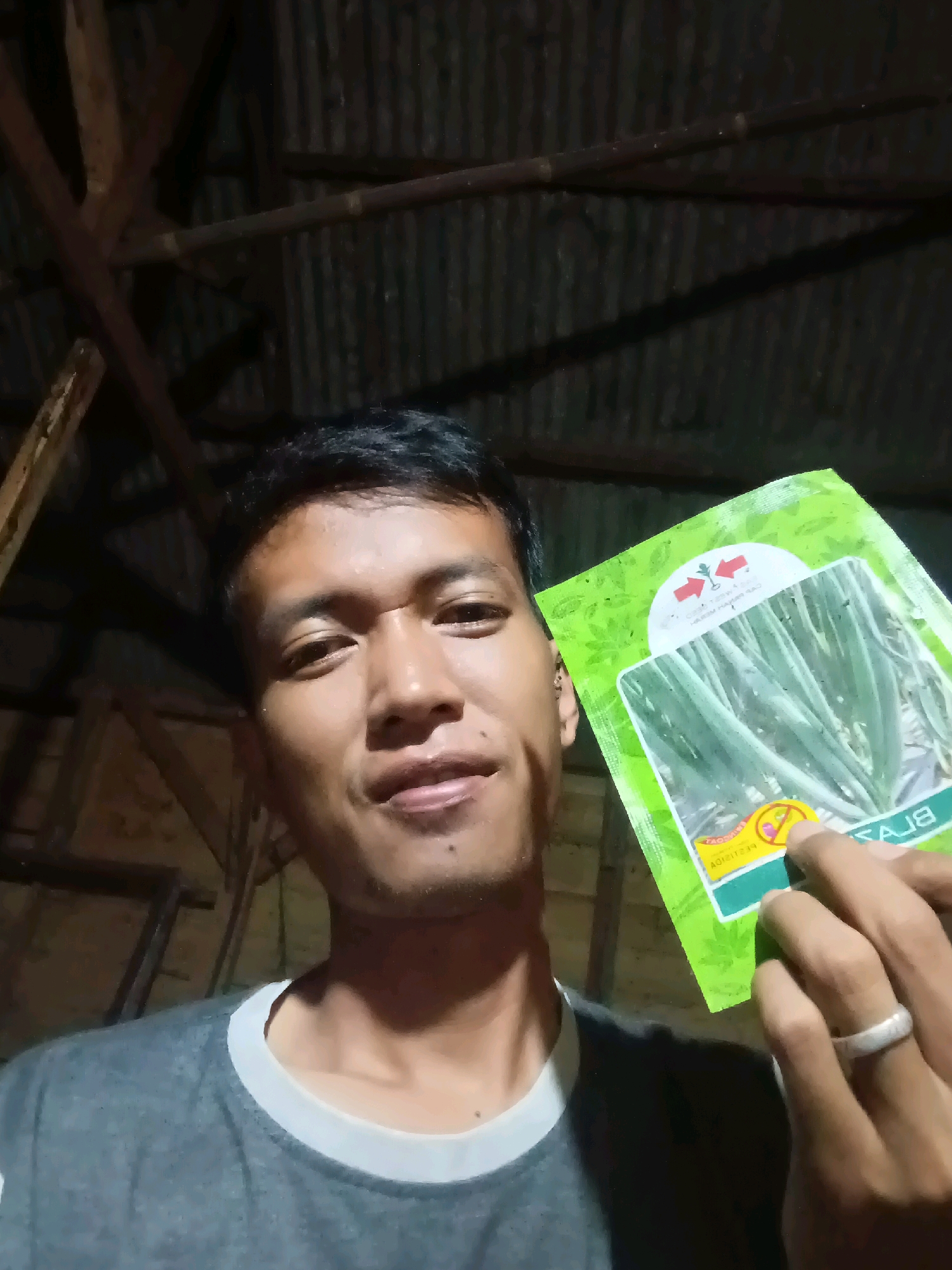 In an indoor setting, a young man of Asian descent is holding a packet of green onion seeds. He is looking towards the camera and smiling slightly. The packet of seeds features an image of green onions and text in what appears to be Indonesian. The background is dimly lit, showing wooden beams and corrugated metal, suggesting a rustic or agricultural environment, possibly in the vicinity of Haji Pemanggilan, Indonesia. The man is wearing a gray t-shirt with a white neckline and a silver ring on his right hand. The lighting is low, with a distinct shadow cast on the wall behind him.