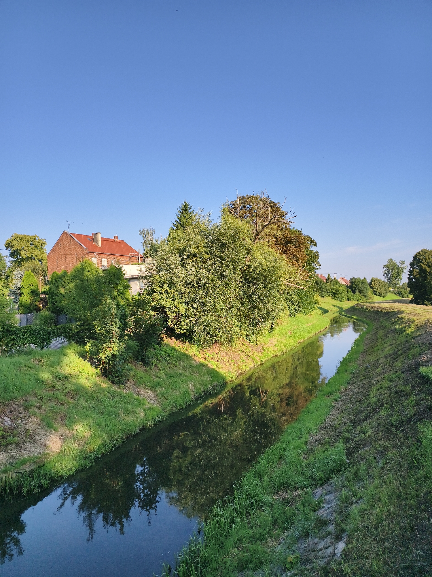 The image captures a serene canal in Tczew, Poland, on a clear day. The canal, bordered by lush green grass and trees, reflects the blue sky and surrounding vegetation. On the left bank, a red-brick house with an orange tiled roof stands amidst a cluster of trees and bushes. The canal flows gently, with its surface mirroring the verdant landscape and the bright sky. The overall scene depicts a tranquil, natural setting within the urban environment of Tczew.