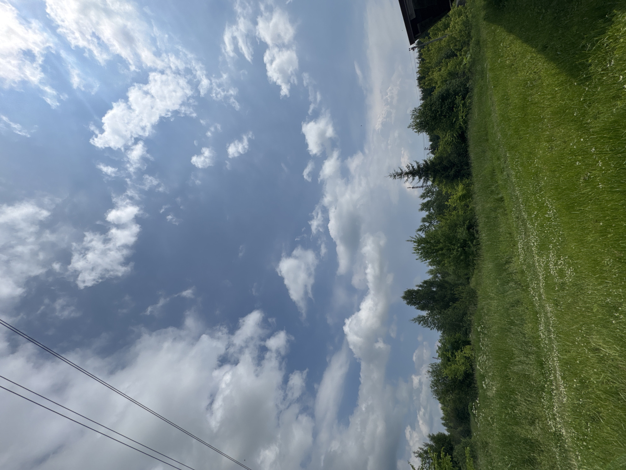 The image captures a serene outdoor scene on a sunny day in Borodulino, Russia. The foreground is dominated by a lush, green meadow, dotted with small white wildflowers. Tall grasses sway gently, creating a textured carpet of vegetation.
Beyond the meadow, a dense line of trees forms a natural border, with varying shades of green indicating different species and foliage density. Among the trees, the dark green silhouette of a conifer stands out, its pointed shape reaching towards the sky.
The sky above is a vibrant blue, interspersed with fluffy white cumulus clouds. Sunlight streams through the clouds, casting bright patches and creating a dynamic interplay of light and shadow. Two dark power lines stretch diagonally across the upper left quadrant of the image, suggesting the presence of nearby infrastructure.
On the far right of the image, a portion of a dark, angled roofline is visible, hinting at a structure on the edge of the property. The overall impression is one of natural tranquility and open space.