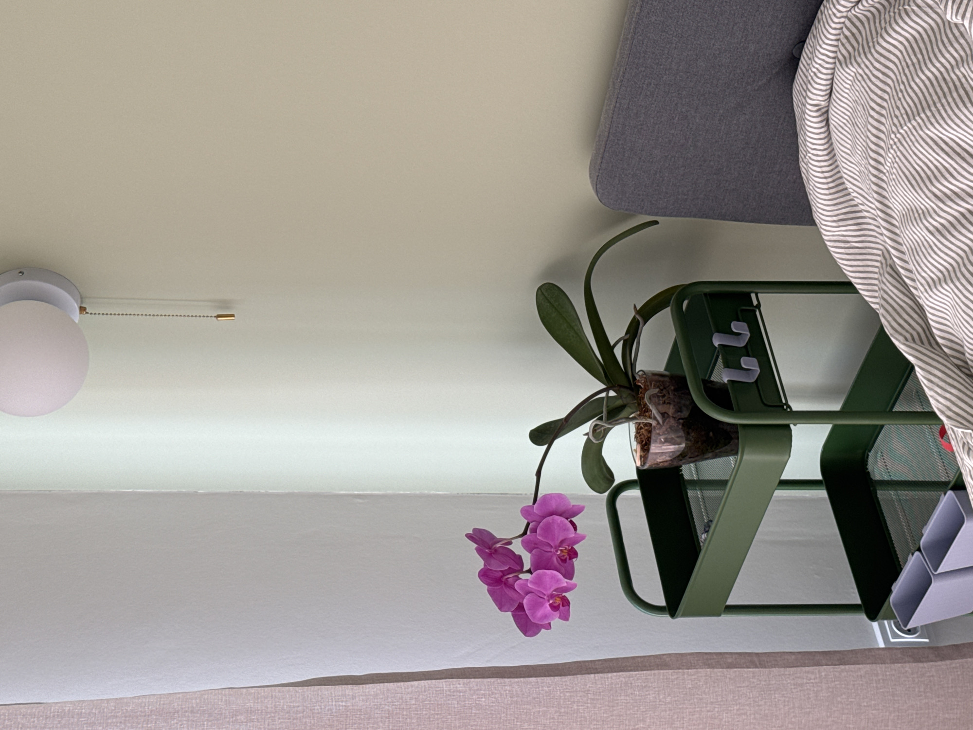 This image depicts an indoor scene, likely a bedroom, featuring a small green trolley with an orchid plant on its top shelf. The trolley also has two grey containers on its bottom shelf. Next to the trolley, a grey headboard of a bed is visible with striped bedding. In the background, a wall is painted in two tones: a pale green on the right and a lighter shade on the left. A wall-mounted light fixture with a pull chain is located on the pale green section of the wall. A pinkish-toned curtain is partially visible on the far left side of the frame. The image does not provide any information or clues that would allow for its location to be identified as Izhevsk, Russia.