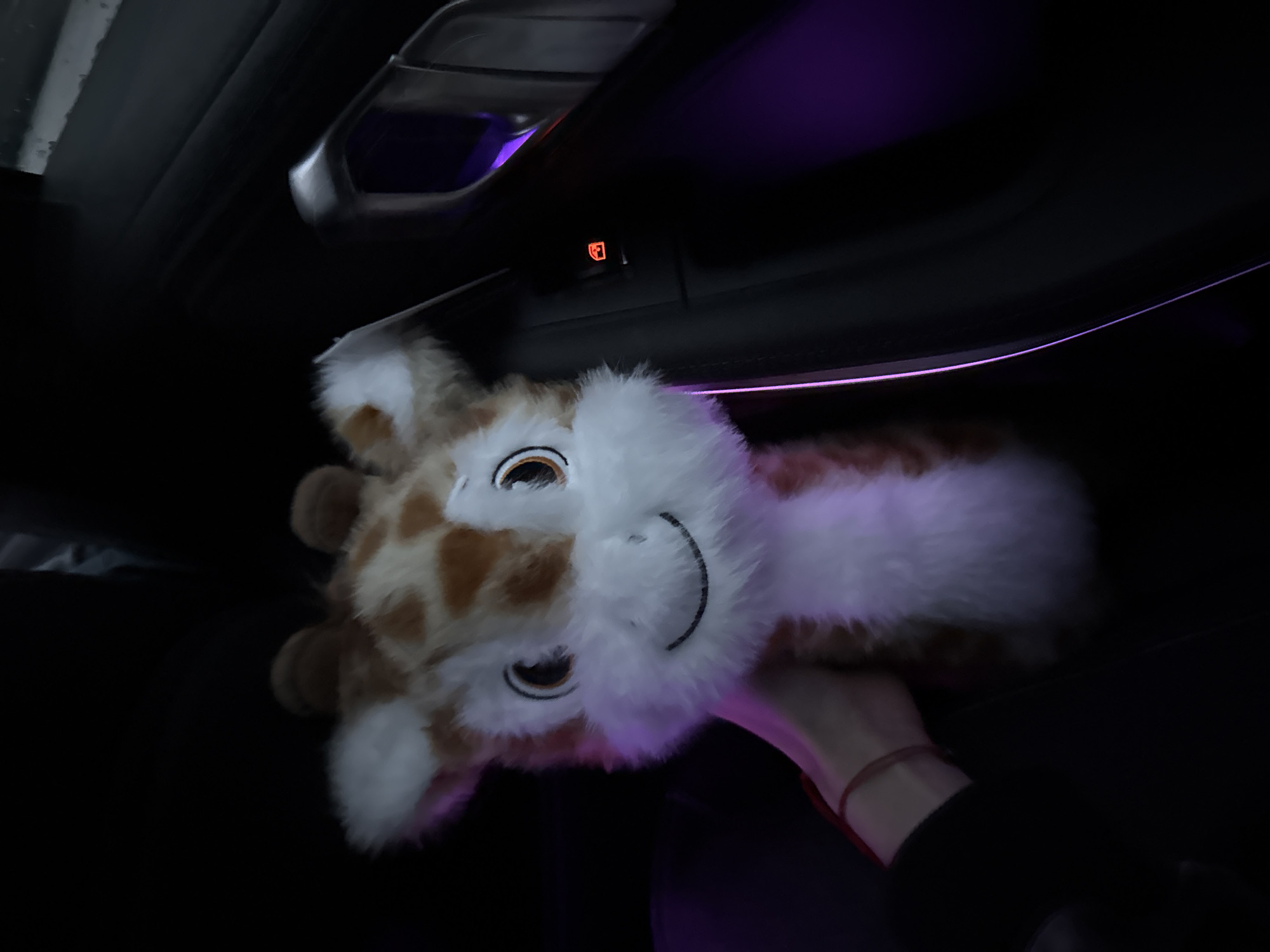 A stuffed giraffe toy is held in a person's hand inside the dark interior of a vehicle. The interior features a door handle with blue ambient lighting and a red indicator light. A thin line of purple ambient lighting is also visible in the background. The location is indiscernible based on the image. It is impossible to determine if the vehicle is in Plovdiv, Bulgaria, based solely on the presented visual information.