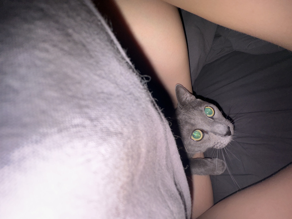 An indoor scene in Moscow, Russia, depicts a domestic grey cat, likely a Russian Blue, peeking from beneath a light grey fabric, possibly a garment or blanket. The cat, positioned between the bare thighs of a person, looks directly upwards towards the camera. Its pupils are dilated, and its irises exhibit a prominent, bright green reflection from a light source. Visible whiskers extend from its muzzle. The human's upper thighs are visible on either side of the cat, with the right thigh slightly more exposed. Dark grey bedding or fabric is visible beneath the cat and between the human's legs. The light grey fabric overhead shows a slightly frayed edge with loose threads.