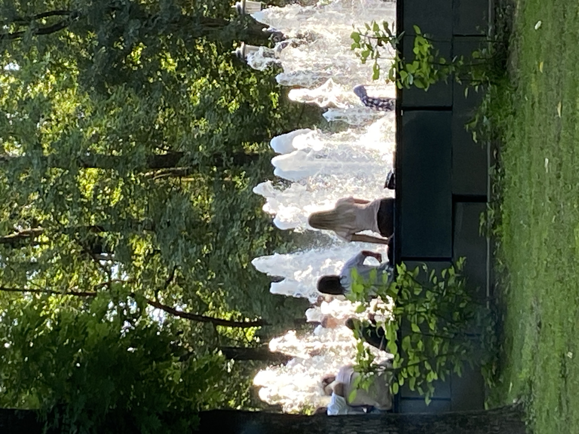 In a park setting, a group of people are sitting on a low wall or bench in front of a water fountain. The fountain is spraying water upwards in multiple plumes, illuminated by sunlight. The background consists of lush green trees. On the wall, several individuals are visible from behind. Two women are seated centrally, one with long blonde hair and the other with dark hair. To their left, more people are seated, appearing to be engaged in conversation. In the foreground, a small green bush is growing. The overall scene depicts a relaxed outdoor atmosphere.