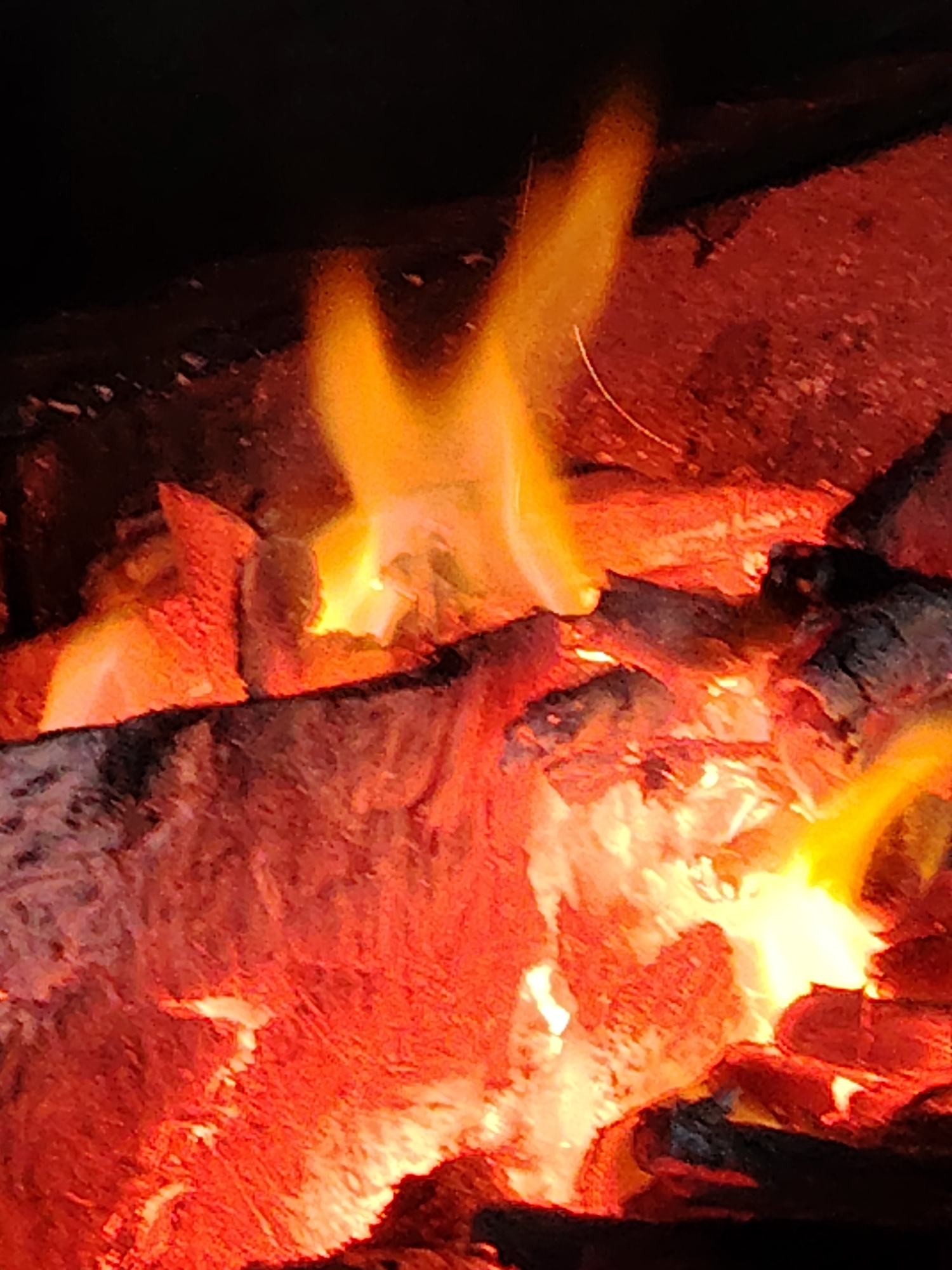 The image is a close-up, vertically oriented shot of a campfire. The fire is burning brightly with flames in shades of yellow and orange, illuminating the glowing red embers and logs within the fire pit. The logs are dark and appear to be charred. The background is dark, suggesting the photo was taken at night or in a dimly lit environment. There are no people or specific landmarks visible. The scene depicts a common outdoor fire, with no indication of its specific location within the city of Unknown, Ukraine.