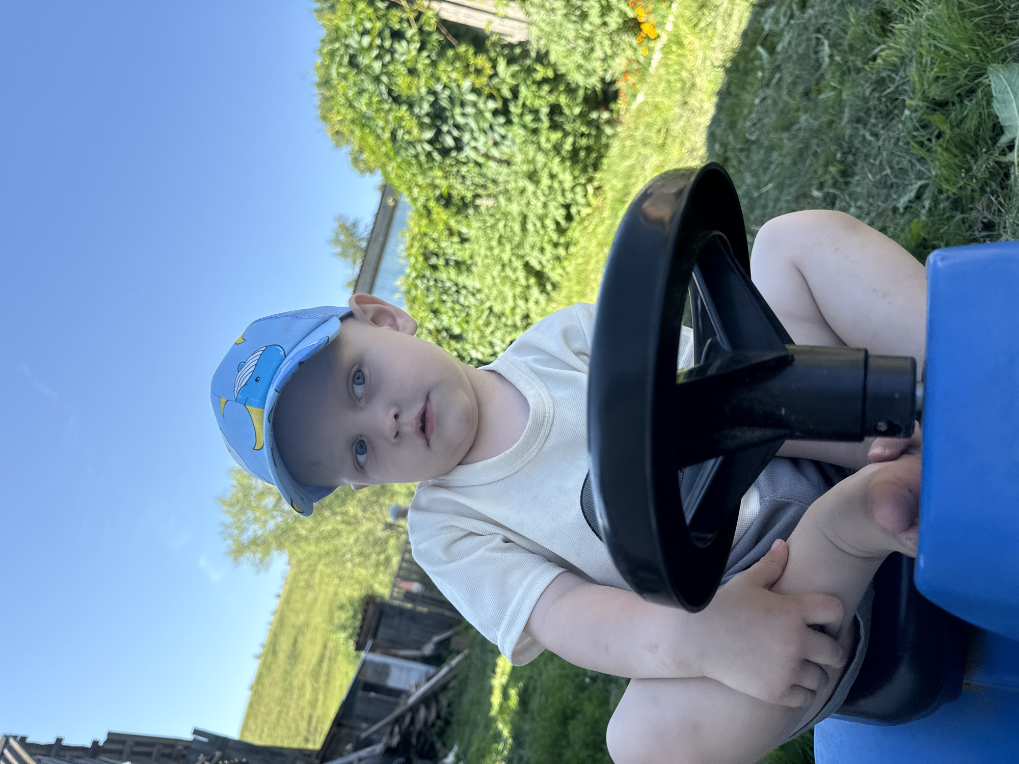 A young child, wearing a light-colored t-shirt and grey shorts, is seated in a blue toy car. They have a blue baseball cap with a cartoon whale design on it. The child's hands are gripping the black steering wheel of the toy car. The scene appears to be outdoors, with lush green grass and trees in the background. A wooden fence is visible behind the trees, and some wildflowers, possibly orange or yellow, are scattered in the grass. The sky is clear and blue, suggesting it is daytime, likely a sunny day. The overall impression is of a child enjoying playtime in a backyard or garden setting. The location context provided is Ляльшур, Russia. There is no visible text in the image. The child's expression is one of mild curiosity or engagement with the toy. The image is captured from a low angle, looking up at the child.