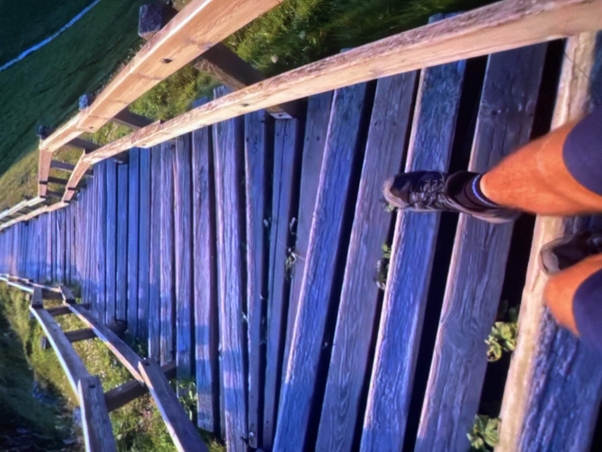 An outdoor, eye-level shot captures a wooden staircase ascending a grassy hill. The perspective is from the viewpoint of someone standing on the stairs, looking upwards. The wooden planks of the stairs are weathered and appear to have a purplish hue, possibly due to lighting or material. A wooden railing runs along the right side of the staircase. Green grass and vegetation are visible on either side of the stairs and on the hill. The image is taken in the city of Ustyvytsia, Ukraine. The foreground shows a person's leg wearing a dark hiking boot and sock, and another leg with orange skin and purple shorts. The person is positioned on the stairs.