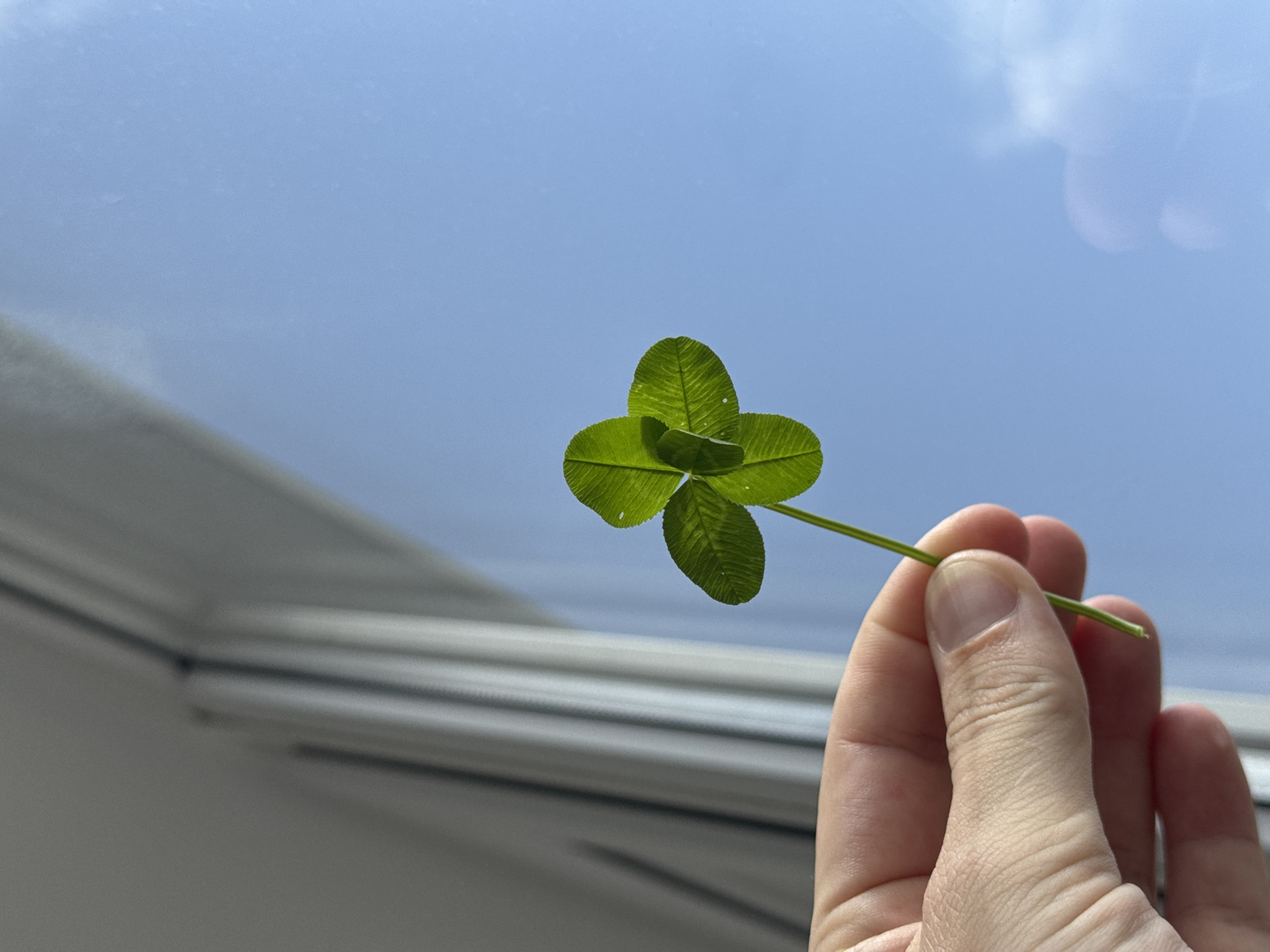 A hand holds a four-leaf clover against a background of blue sky with blurry cloud-like formations. A window frame is visible in the lower-left corner of the image. No people other than the hand owner are visible. The clover is green with visible veins. The stem of the clover is held between the thumb and forefinger. The hand appears pale. The location cannot be determined as Krasnodar, Russia, from the provided image.