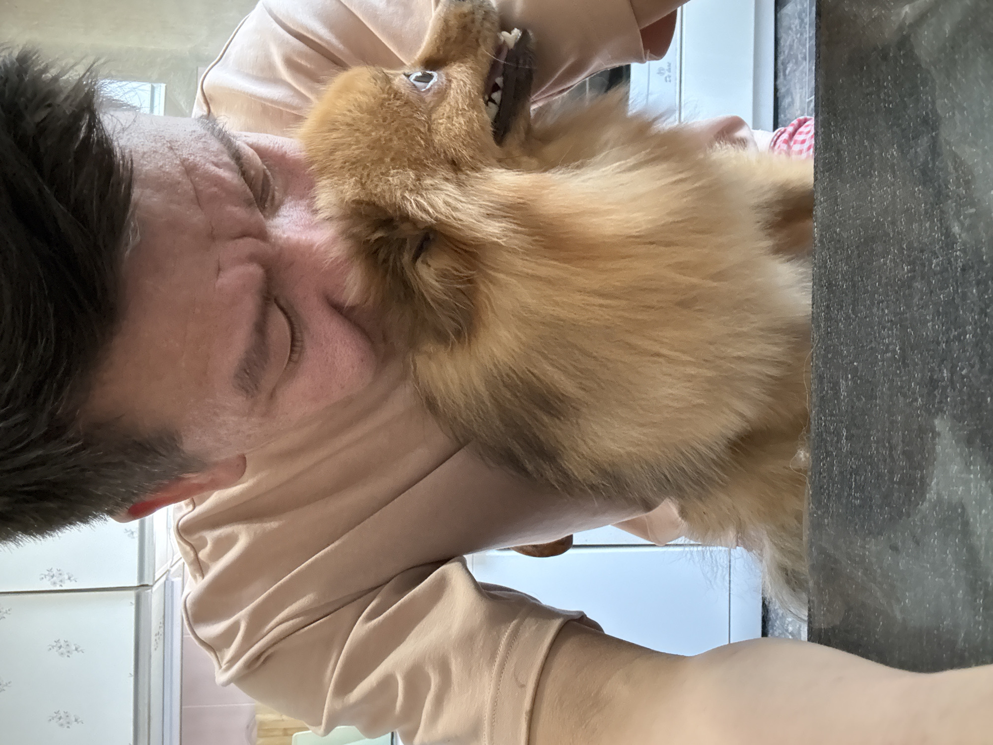 A person is shown from the chest up, leaning down and nuzzling a small, tan-colored dog. The person's face is partially obscured by their hair and the dog. The dog is facing to the right, with its mouth open, revealing its teeth. The background appears to be a kitchen, with white cabinets and a countertop visible. The lighting suggests an indoor setting, possibly in a residential area of Khimki, Russia, given the context of the prompt. The overall scene conveys a moment of affection between the person and the dog.