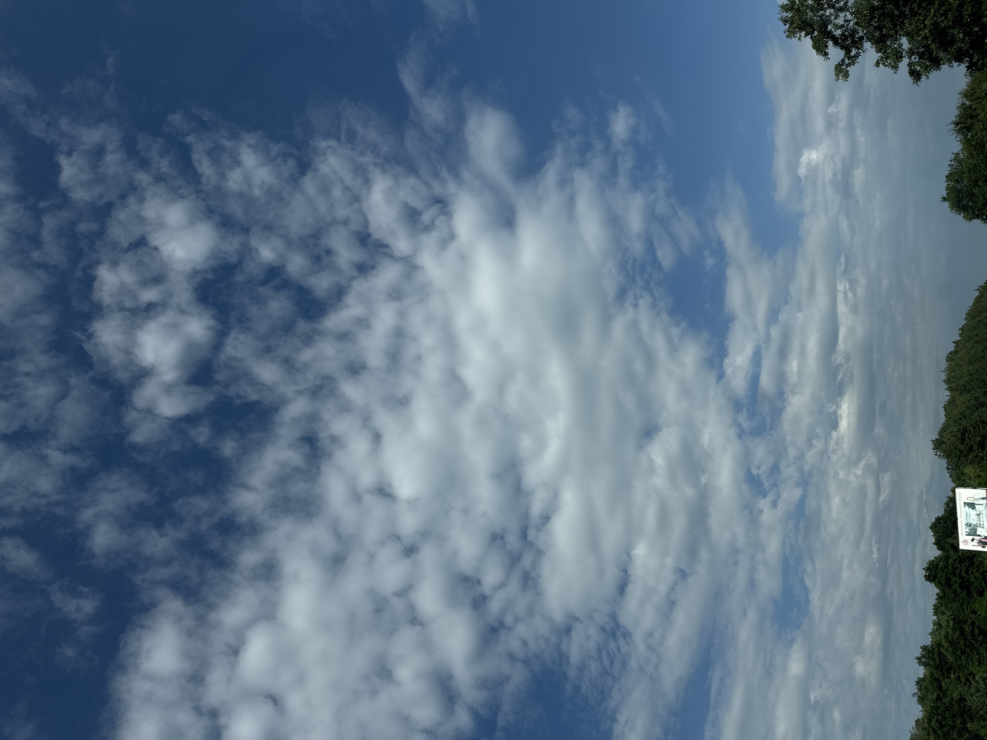 The image depicts a wide-angle shot of a bright blue sky filled with scattered white clouds. In the lower portion of the image, a line of dark green trees stretches horizontally across the frame, suggesting a natural landscape. A billboard is visible amongst the trees, displaying an image of buildings and people. The sky occupies the majority of the frame, with the trees and billboard occupying the lower sixth. The location is identified as Baliovtsi, Bulgaria.