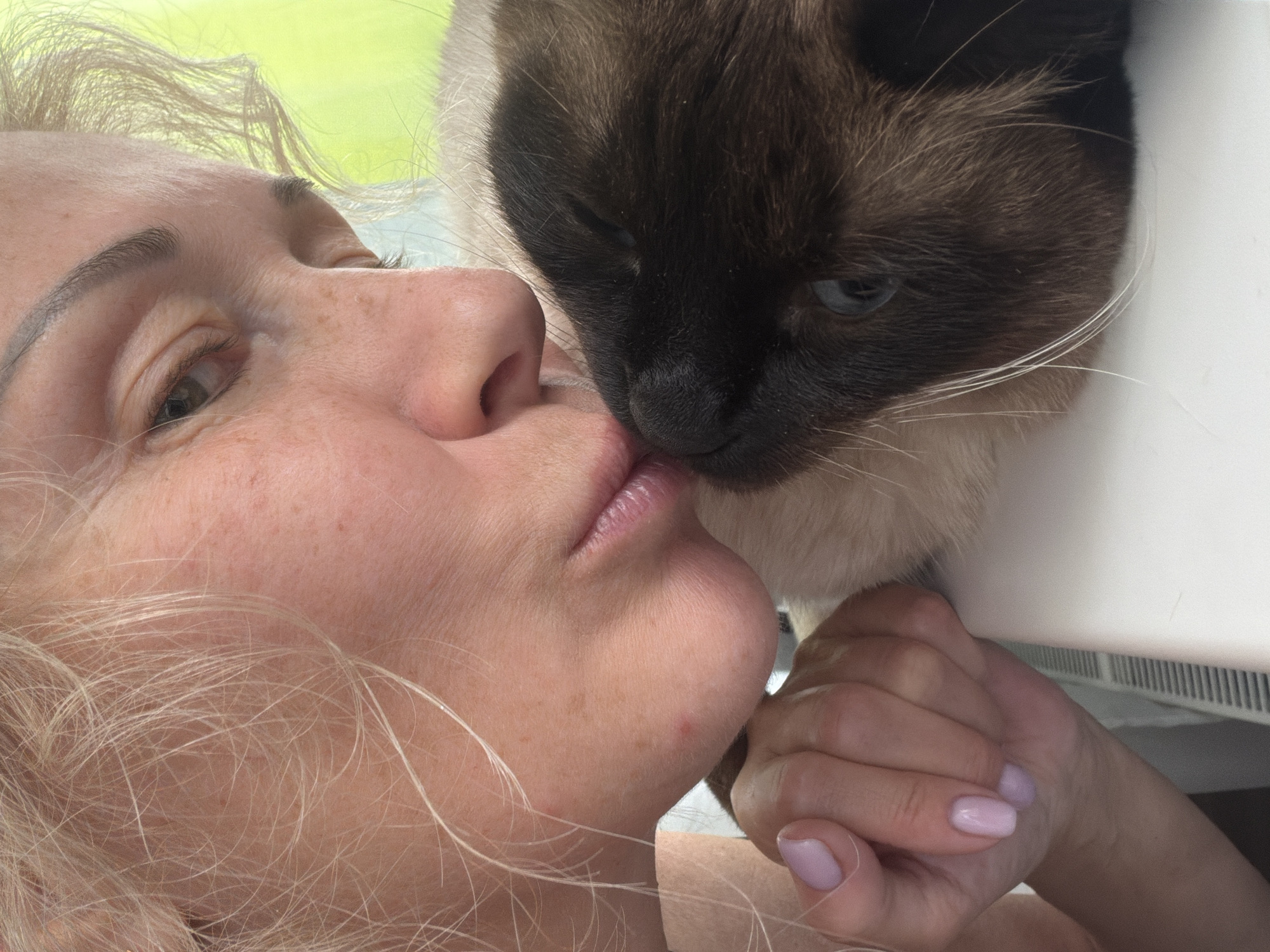 An extreme close-up shot captures a woman's face leaning in to kiss a Siamese cat's head. The woman, with blonde hair and fair skin, has her eyes closed and lips pursed as she kisses the cat. The cat, facing towards the woman, has its eyes closed as well. The woman's hand, with light purple nail polish, rests near the cat. The background is blurred, with a hint of a green light source on the right side, possibly indicating natural light. The scene appears to be indoors, with a white radiator visible at the bottom. The image lacks specific indicators to determine its location within Saint Petersburg, Russia.