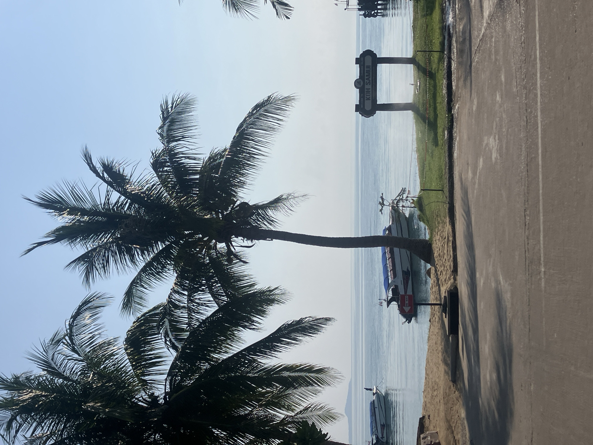 The image shows a coastal scene in Baan Mae Nam, Thailand. Two prominent coconut palm trees are in the foreground, obscuring the sky. In the midground, a calm body of water reaches the shore. Several boats are visible docked along the beach. In the background, a sign displaying "Welcome to KOH SAMUI" is positioned near a patch of green grass beside a road. The road occupies the right side of the frame.