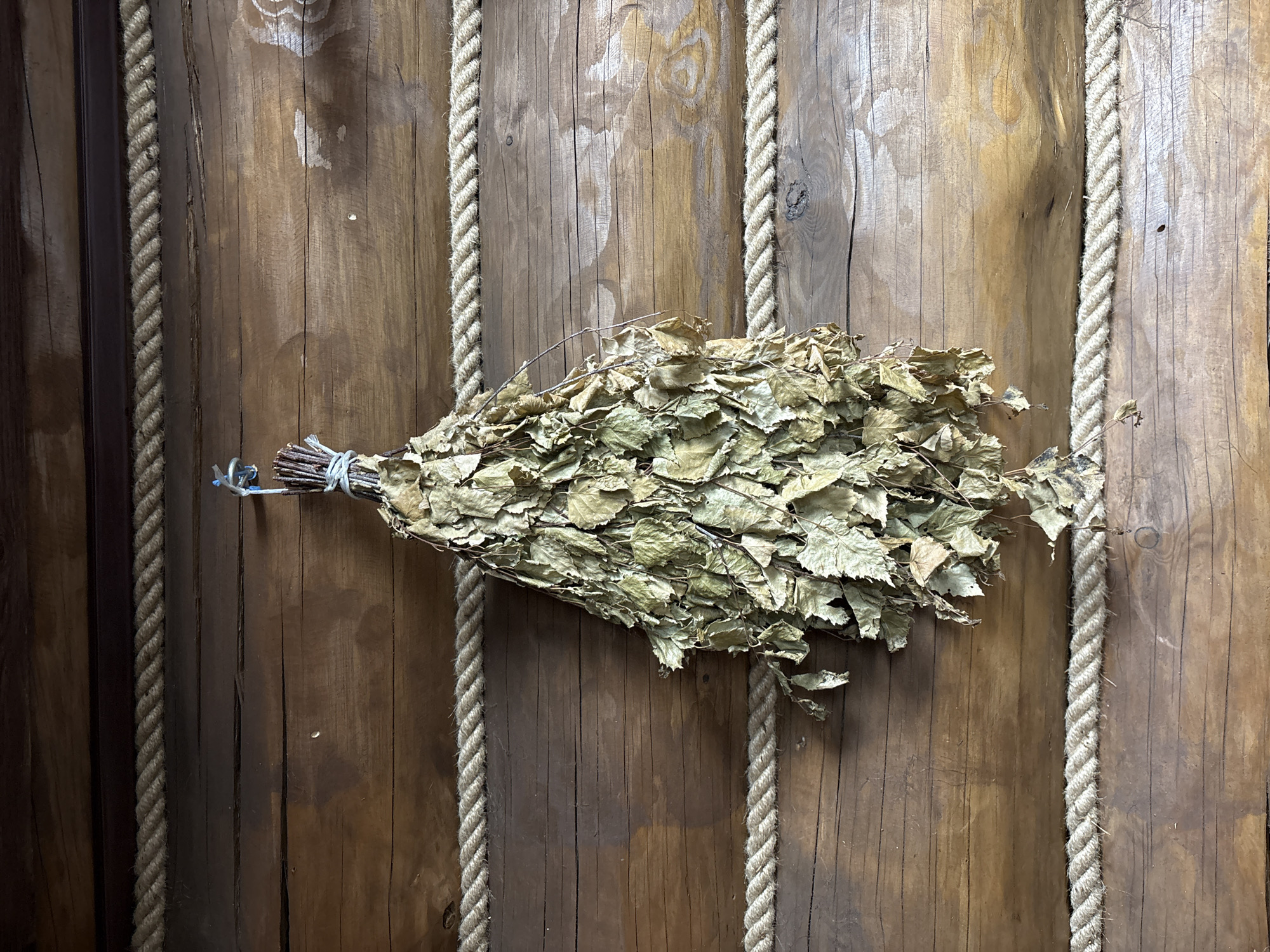 A dry birch venik hangs on a wooden wall in Prikamskii, Russia. The wall is made of vertical logs and framed with rope. The venik, bound with cord, is positioned horizontally, with the handle to the left and the leafy portion extending rightward.