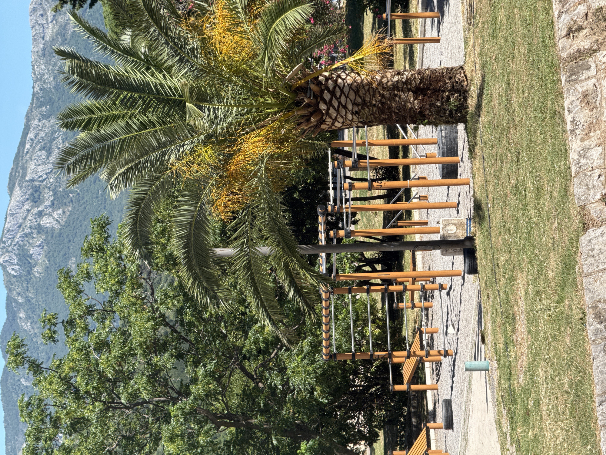 This is a medium shot, eye-level, outdoor photograph of an outdoor fitness park located in Budva, Montenegro. The park features various exercise equipment made of wood and metal, including parallel bars and pull-up bars. A tall palm tree with yellow fronds stands in the foreground to the right of the frame. In the background, lush green trees and rocky mountains under a clear blue sky are visible. The ground of the park is covered with gravel, and there is a patch of green grass in the lower foreground. The scene appears calm and deserted, suggesting it is a public space for exercise.