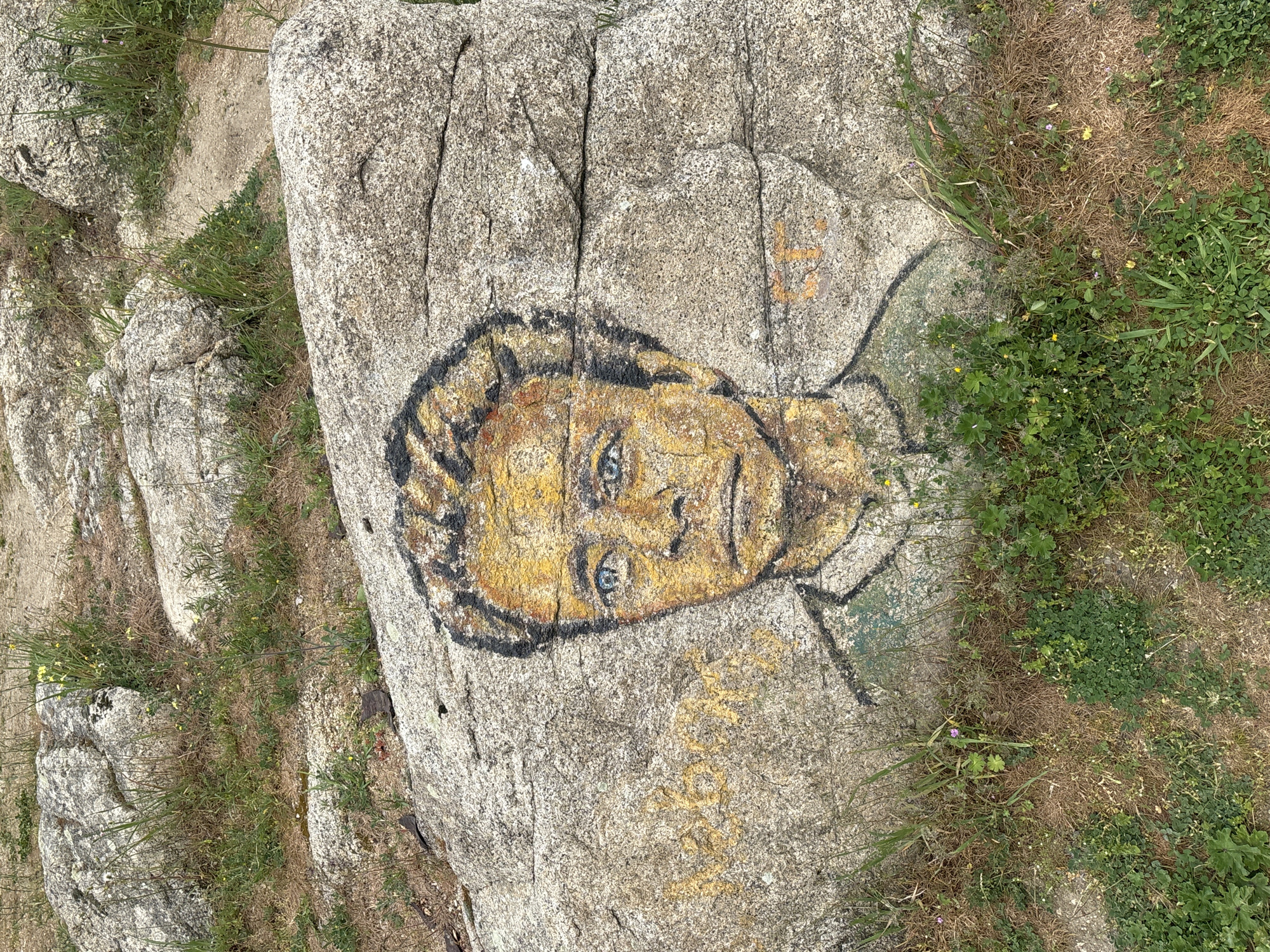 An overhead shot captures a large, light-colored granite boulder featuring a painted portrait of a person's face. The face, rendered in shades of yellow and brown with distinct black outlines, shows prominent blue eyes and dark, possibly curly, hair framing the head. The expression appears serious or intense. Below and to the right of the face, faint, faded yellow or orange markings, possibly text or numbers, are visible on the rock, but are illegible.
The rock is situated outdoors amidst an uneven, natural landscape. Surrounding the main boulder are smaller rocks and patches of both vibrant green vegetation and dried brown grass. Small green plants, some bearing tiny yellow and purple flowers, are interspersed throughout the scene. The ground appears earthy and rocky, suggesting a natural, possibly rugged, terrain.
No specific activity is taking place in the image, which presents a static scene. The lighting suggests it is daytime, with soft, natural illumination implying either an overcast sky or an early morning/late afternoon sun. The overall impression is that of a natural landmark in an area like Plovdiv, Bulgaria, where such outdoor art can be found on geological formations. The painted face itself evokes a sense of contemplative emotion.