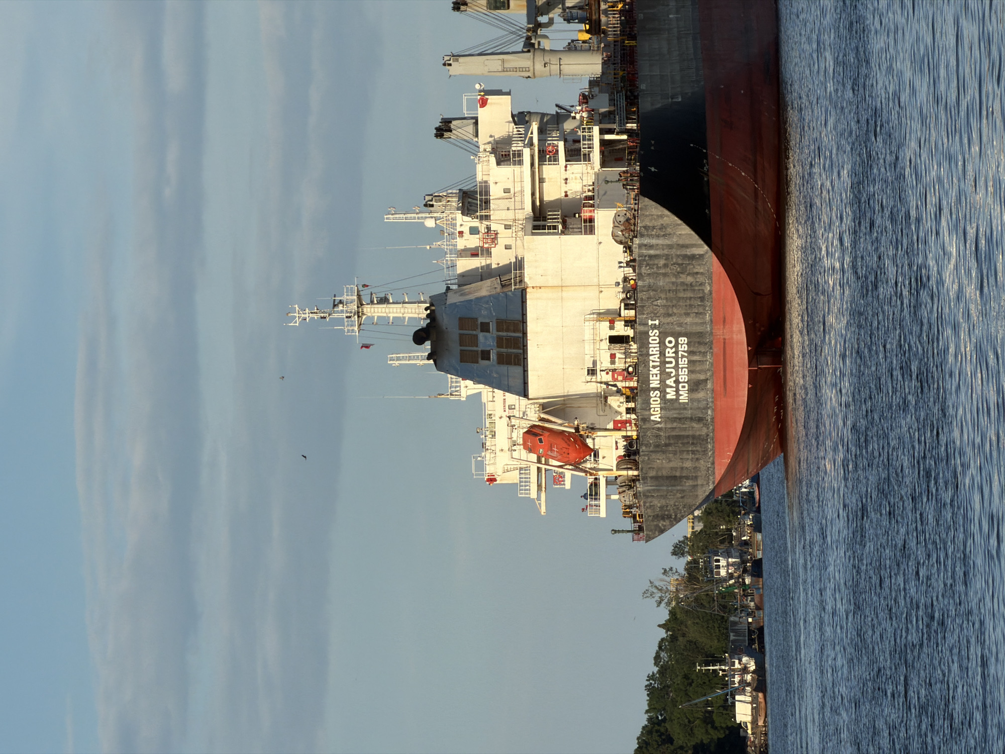 The image shows a large cargo ship, the "AGIOS NEKTARIOS I MAJURO", with IMO number 9515759, sailing on a body of water. The ship is gray with a red hull and features several decks, cranes, and a life raft. In the background, a lush green shoreline is visible, lined with trees. Several smaller boats are docked near the shore, and a lighthouse can be seen on the horizon. The sky is partly cloudy with a few birds flying. The scene appears to be a daylight shot, with the sun casting warm light on the ship and water. The cargo ship is the primary subject, occupying a significant portion of the frame. The water is calm, with gentle ripples on its surface. The overall impression is of a busy port scene or a ship navigating coastal waters. The location is identified as Varna, Bulgaria.