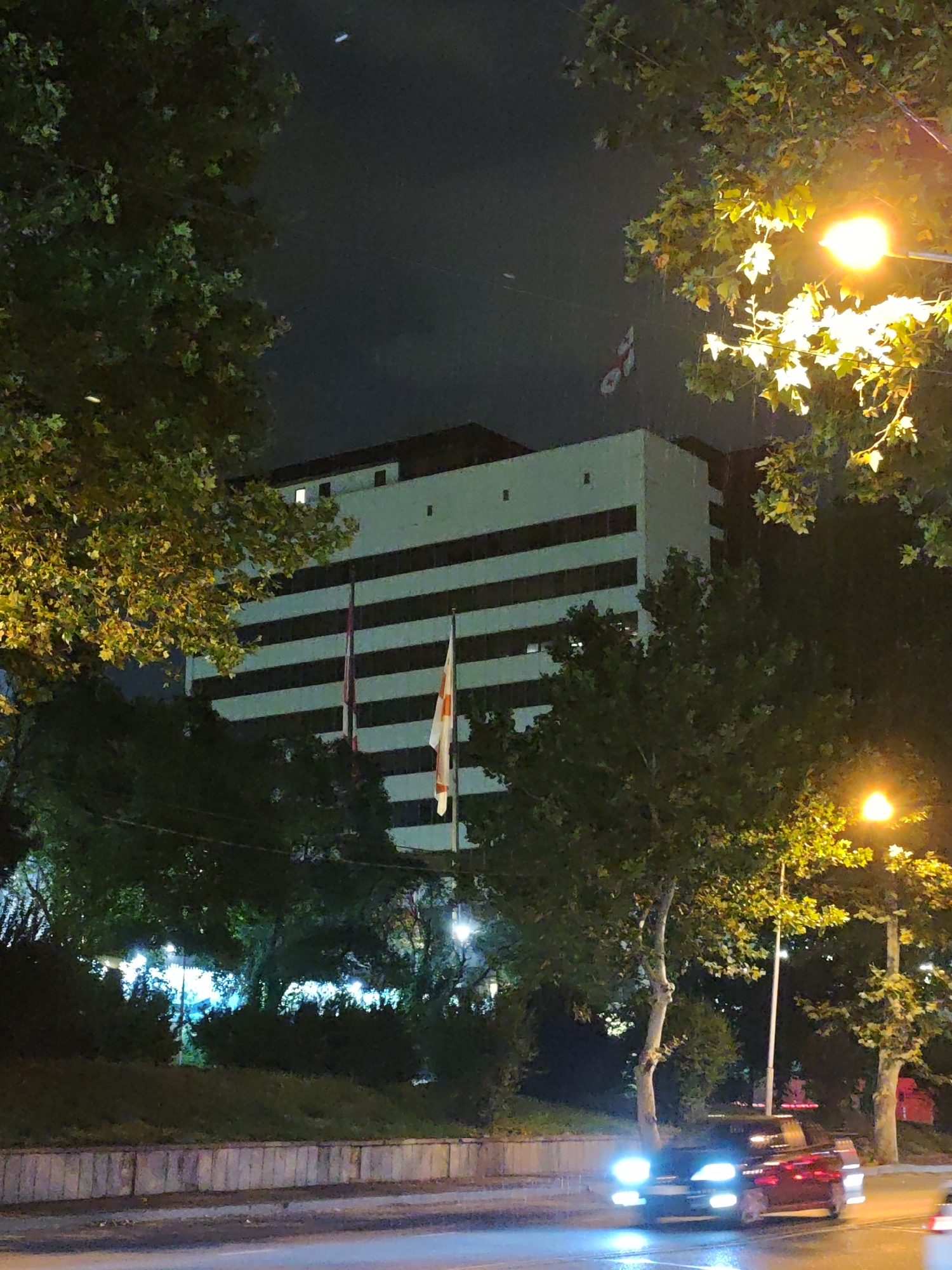 A nighttime scene in Tbilisi, Georgia, captures a multi-story building with a white facade and dark horizontal stripes, illuminated by artificial lights. Two flags, one white with red accents and another with a similar red and white design, are visible on poles in front of the building. Lush green trees frame the view, their leaves partially illuminated by a bright yellow streetlamp. The foreground features a road with a car in motion, its headlights and taillights creating streaks of light, suggesting a busy urban environment. The sky is dark and cloudy, typical of a nighttime setting. The presence of trees, a modern building, and a road with vehicles suggests an urban landscape.