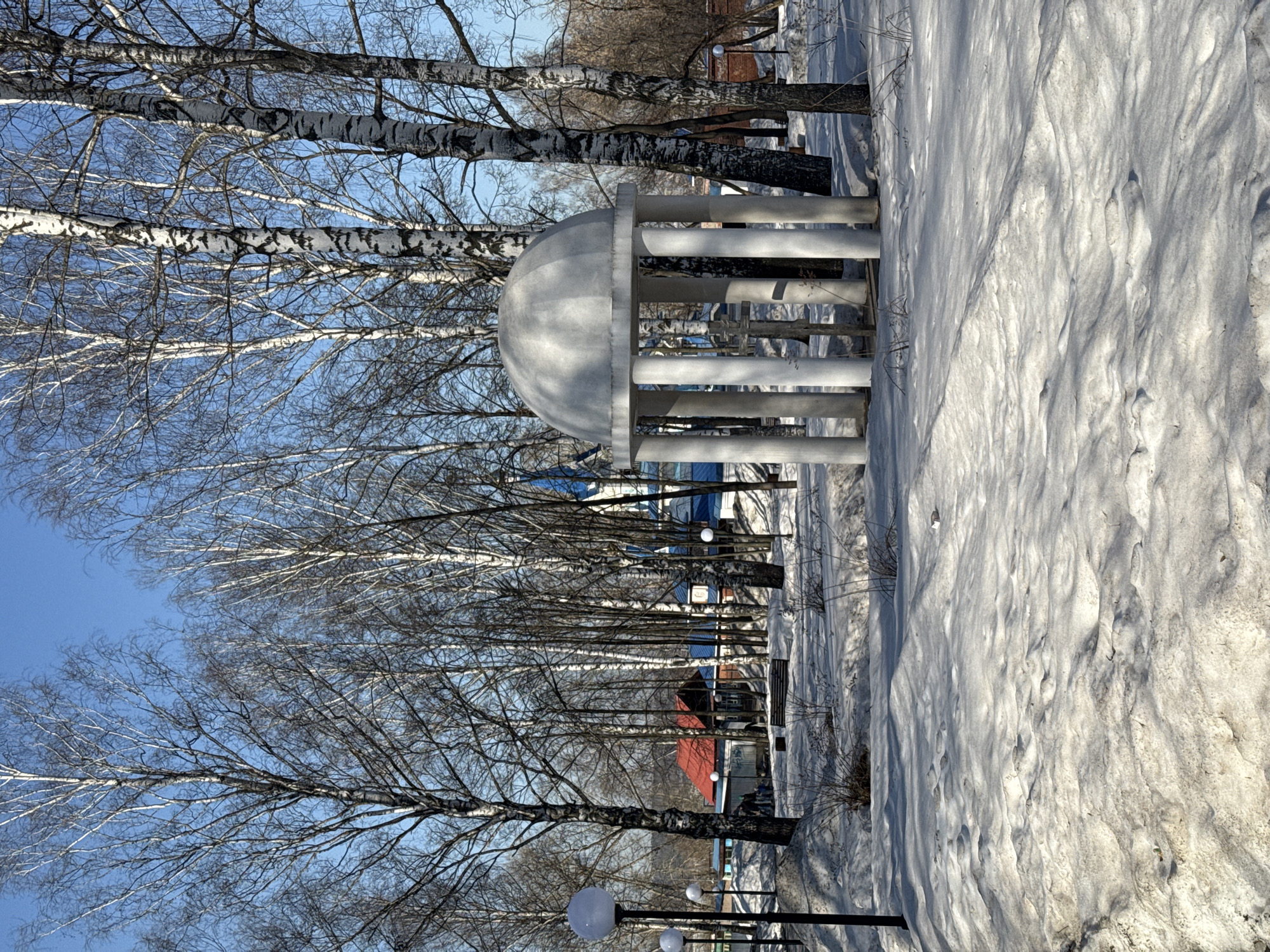 The image depicts a winter scene in a park in Izhevsk, Russia. Dominating the foreground is a round, roofed structure supported by white columns, likely a gazebo. The ground is covered in snow, which exhibits textured patterns suggesting the effects of wind or melting. A row of bare birch trees lines the park, their white trunks and branches reaching towards the clear blue sky. In the background, glimpses of buildings with red and blue roofs are visible, indicating the edge of a residential or urban area. Light posts with globe-shaped lamps are positioned along a path. There are no people visible in the image. The scene suggests a quiet, sunny winter day in a park setting.
