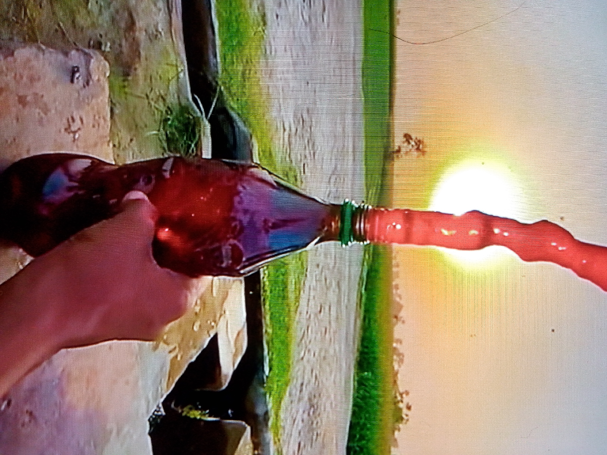 The image, appearing to be a photograph of a screen due to visible scan lines and pixelation, is oriented horizontally. A person's hand holds a plastic bottle containing a dark reddish liquid. A thick, vibrant red stream of liquid pours out of the bottle's neck, extending towards the right of the frame in a wavy, almost ribbon-like fashion.
In the background, a bright, circular light source, strongly resembling the sun, is visible, casting a strong golden glow on the surrounding sky. Below the main action, a strip of green vegetation, possibly grass or crops, runs across the mid-ground. Adjacent to the vegetation is a lighter-colored surface, which could be a dirt path or a concrete structure. A dark, vertical element, possibly a tree trunk or a post, is partially visible behind the bottle and vegetation. The low position and intense glow of the sun suggest either sunrise or sunset.
Faint, indistinct markings, including a possible letter "P," are barely discernible on the lighter ground surface in the left portion of the image. The overall setting is outdoors, under clear skies.