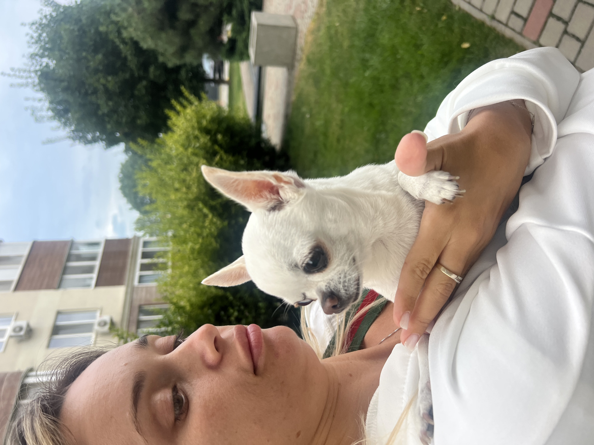 In Kryzhanivka, Ukraine, a woman with blonde hair and fair skin is holding a small white Chihuahua. The woman is wearing a white hoodie, and the dog is looking to its left. The background features a multi-story building with windows and air conditioning units, lush green trees and bushes, and a paved walkway. The scene is captured outdoors on a cloudy day.