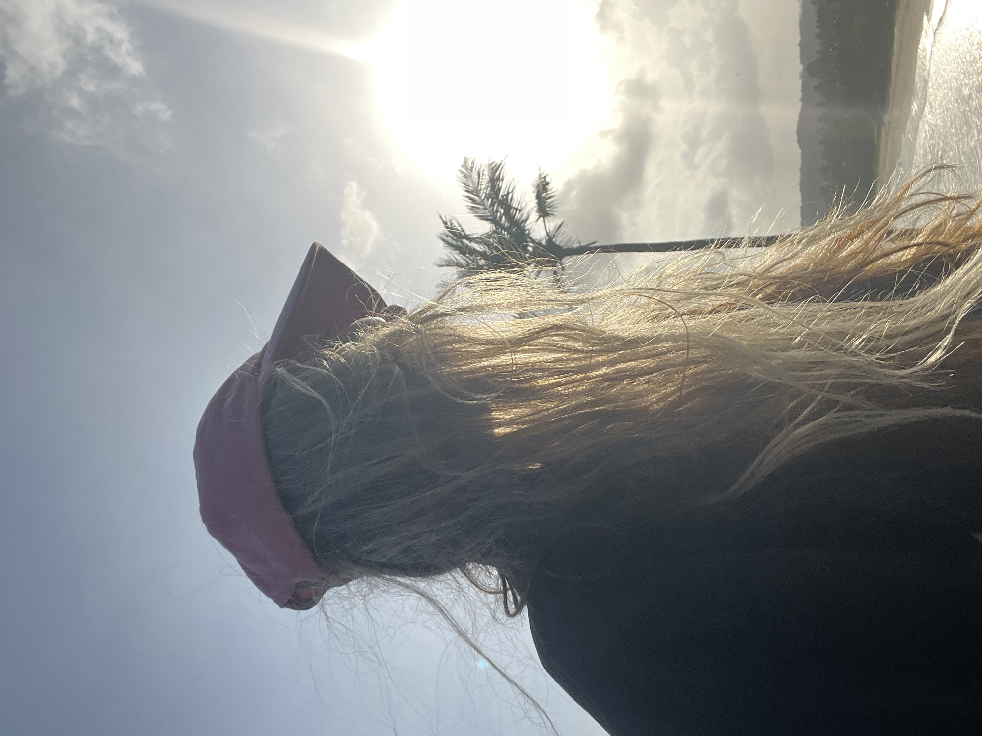 A rear view of a person wearing a red baseball cap and a black shirt is captured against a bright sky with the sun shining. The person's long, blonde hair is blowing in the wind, with some strands catching the sunlight. In the background, a palm tree stands tall against a cloudy sky. Beyond the palm tree, a coastline with trees and waves is visible. The overall scene suggests an outdoor setting, possibly a beach, in Dondra, Sri Lanka. The image is shot from a slightly low angle, looking upwards.