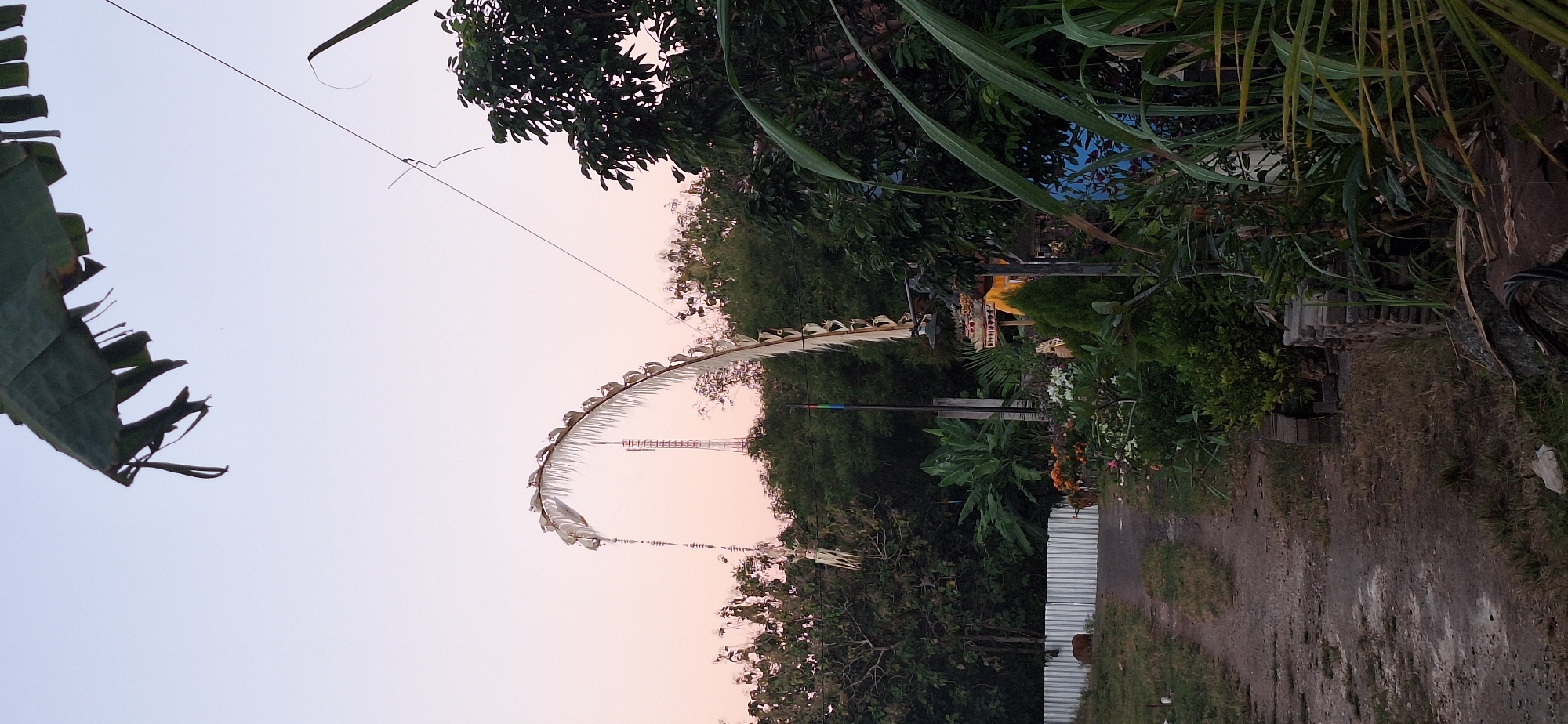 The image depicts a scene in Kuta Selatan, Indonesia, likely during twilight. Dominating the center is a tall, arched structure adorned with white, festive decorations, possibly a traditional Balinese *penjor*. In the background, a transmission tower is visible above a dense canopy of green trees. To the left, a white corrugated metal fence runs along a dirt path. A brown animal, possibly a cow or dog, grazes near the fence. Lush vegetation, including a banana tree and various plants with flowers, fills the foreground and right side of the image. Electrical wires are strung across the scene, and a small, ornate shrine is situated amidst the plants. The sky transitions from a pale pink to a lighter hue, indicating dusk. The overall impression is a roadside view with elements of both natural and cultural significance.