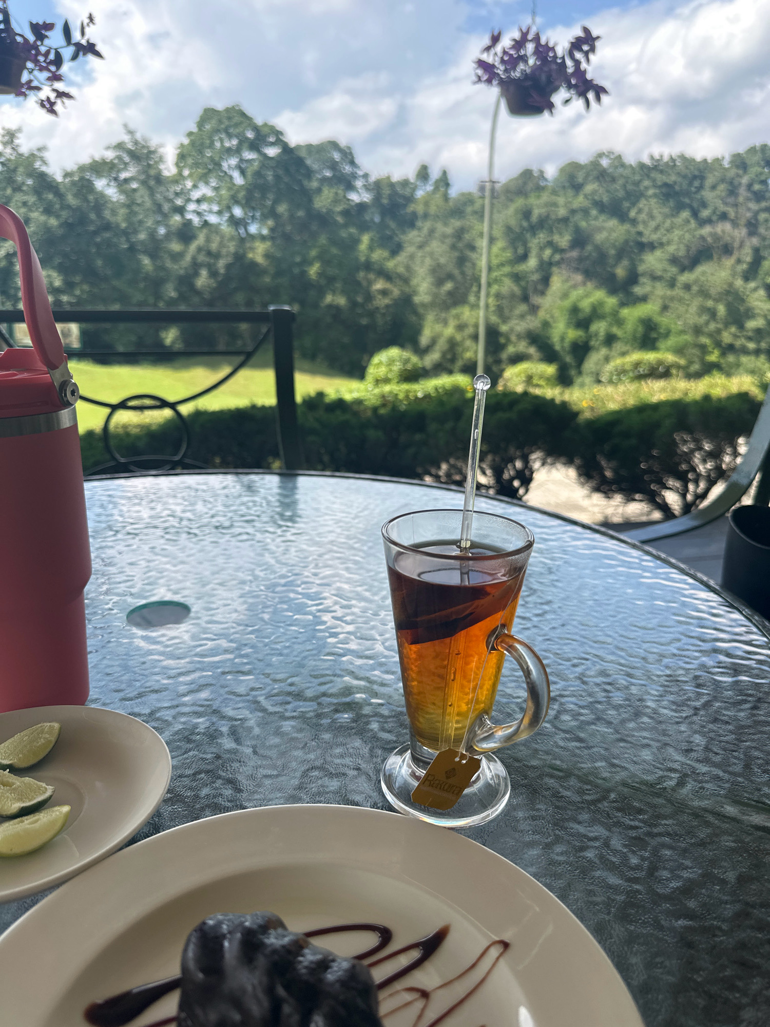 A still life composition featuring a glass of iced tea on a glass-topped outdoor table, with lime wedges and a dessert on plates in the foreground, and a pink water bottle on the left. The background showcases lush green trees and a cloudy sky, hinting at a serene outdoor setting. The image does not provide any information specific to Kageshwori Manohara, Nepal.